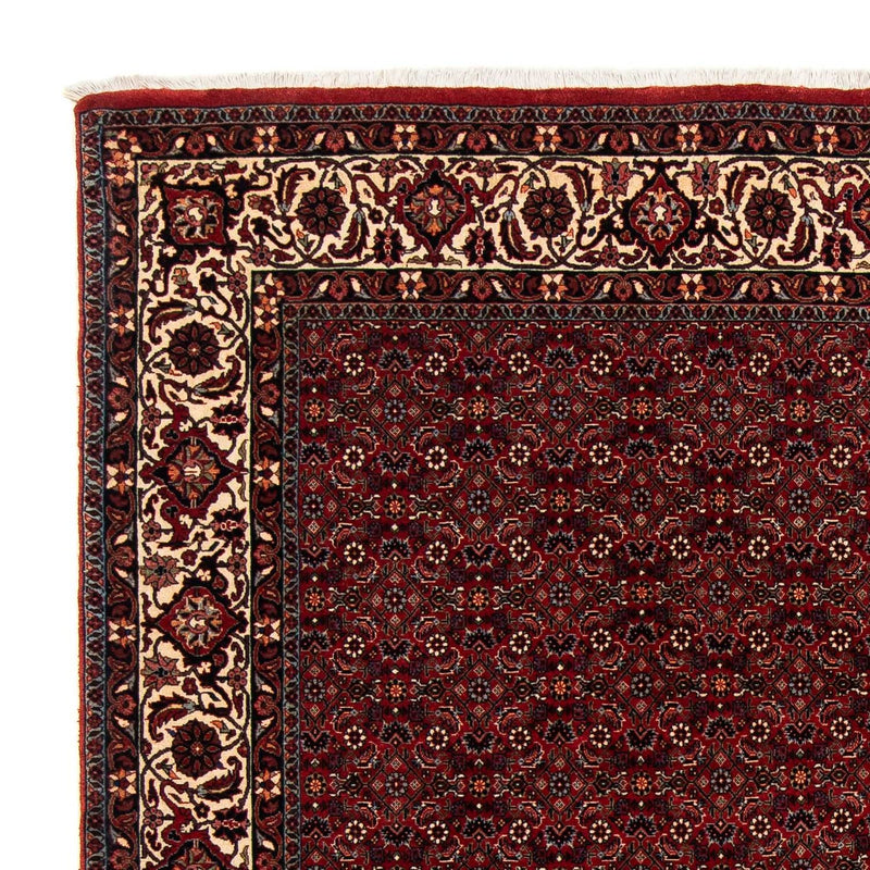 Tappeto Persero - Bidjar quadrato  - 212 x 205 cm - rosso scuro