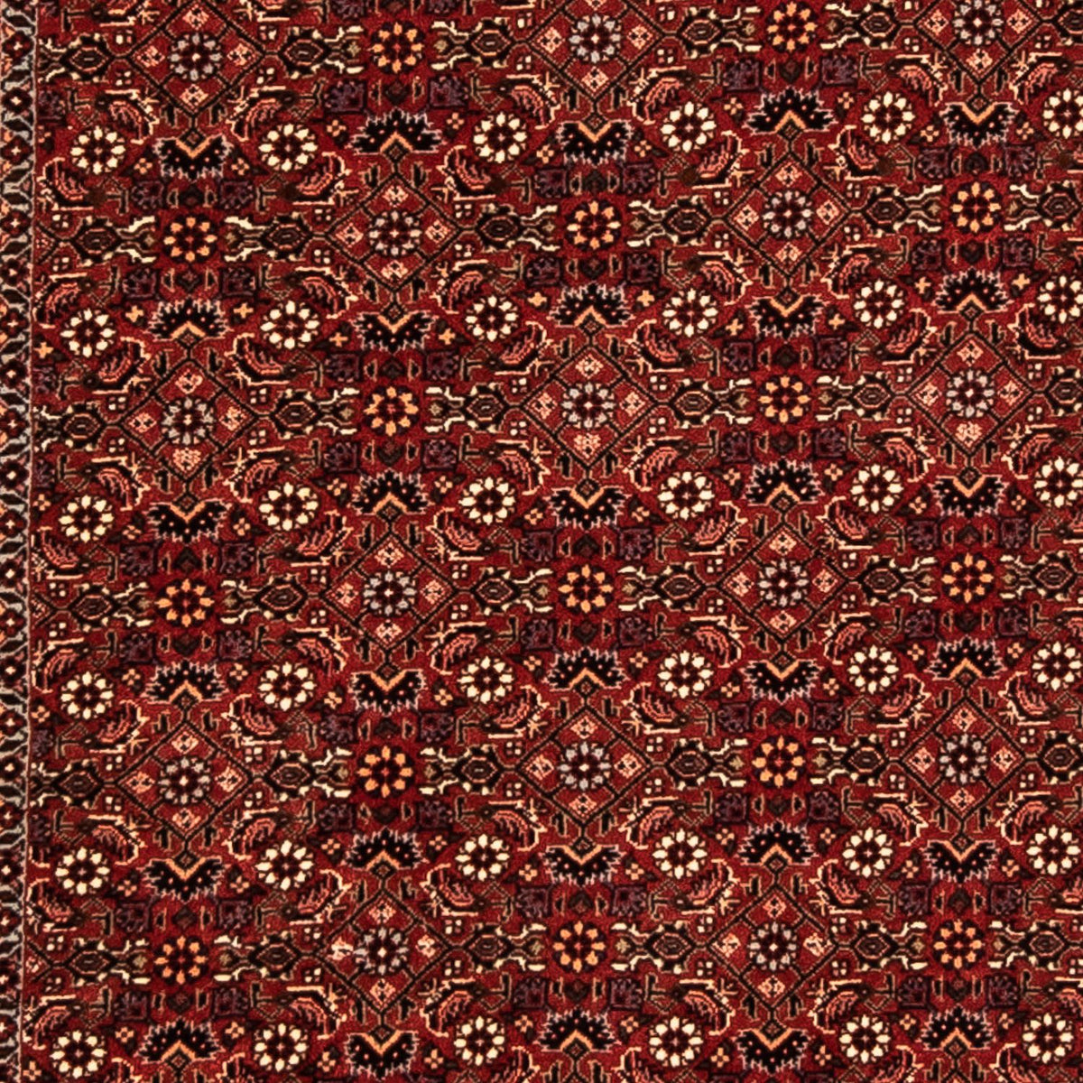 Tappeto corsia Tappeto Persero - Bidjar - 304 x 86 cm - rosso scuro