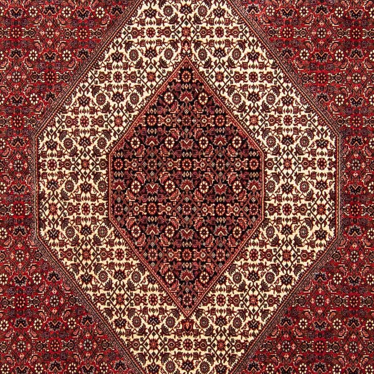 Tappeto Persero - Bidjar - 304 x 251 cm - rosso scuro
