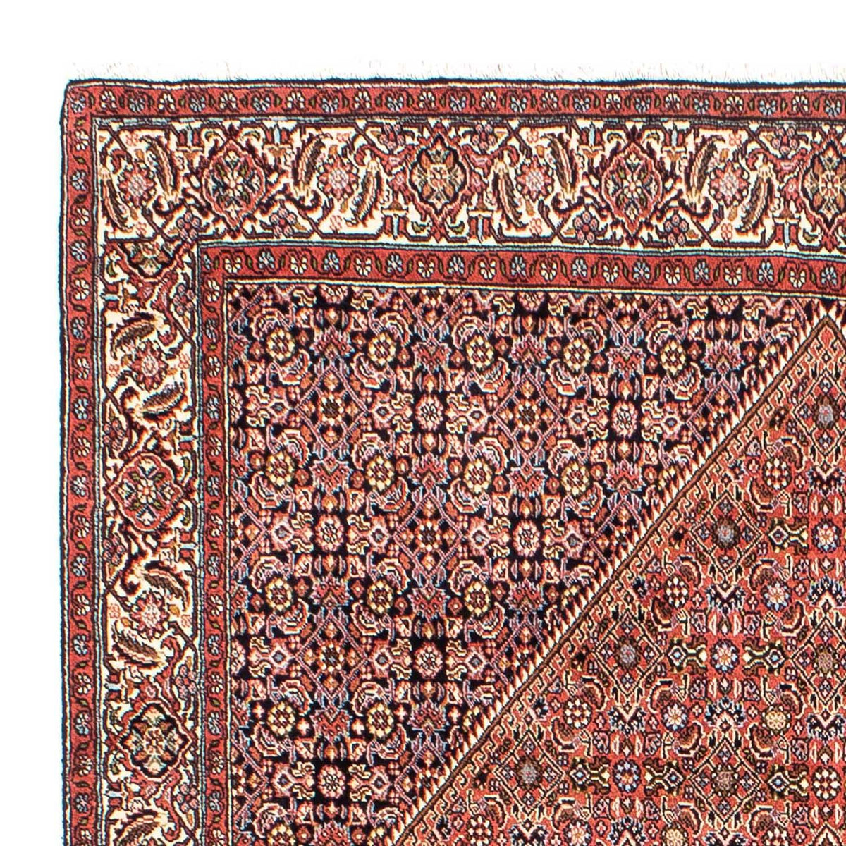Bidjar Tappeto 165x268cm - Tappeto persiano