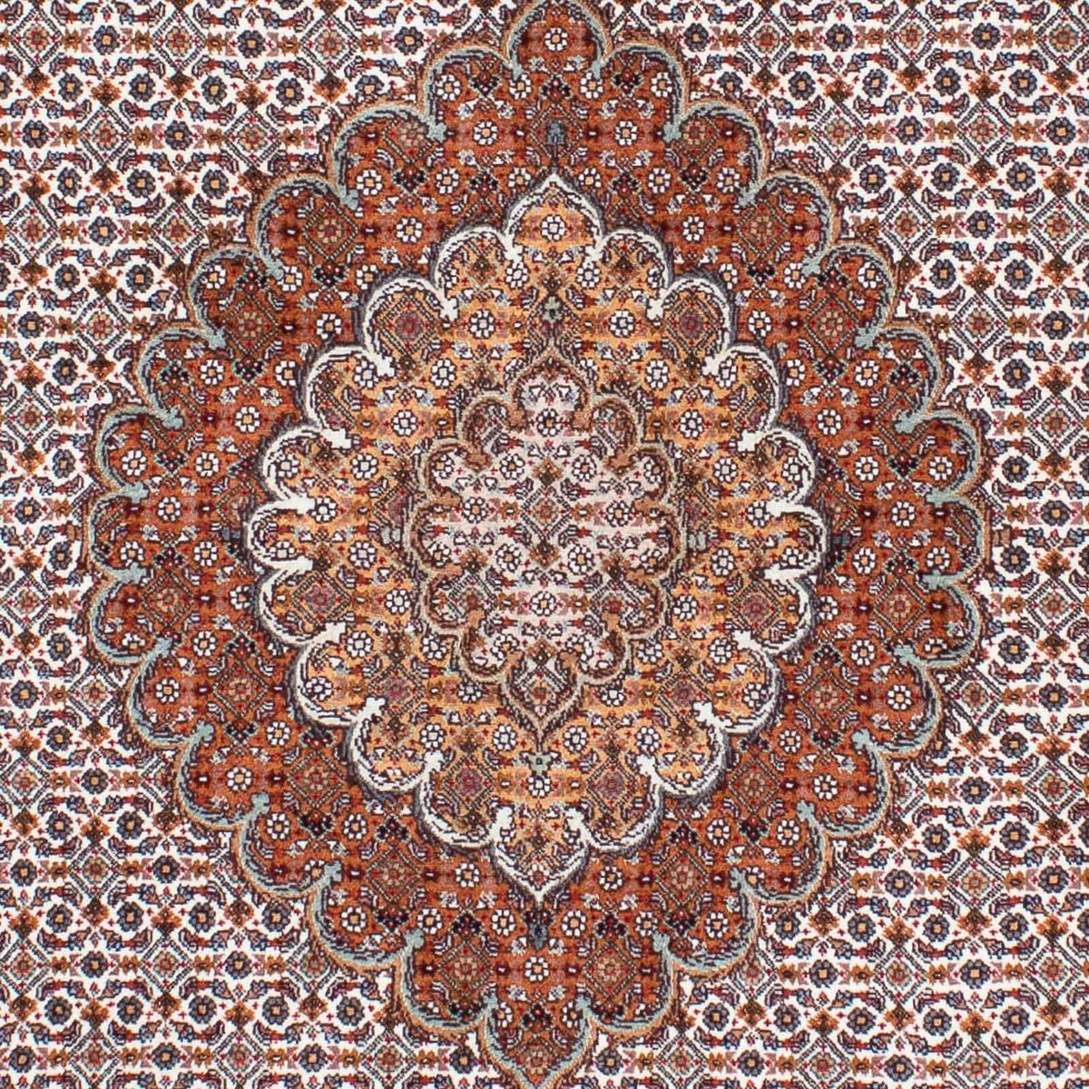 Tappeto Persero - Tabriz - Reale - 208 x 153 cm - marrone chiaro
