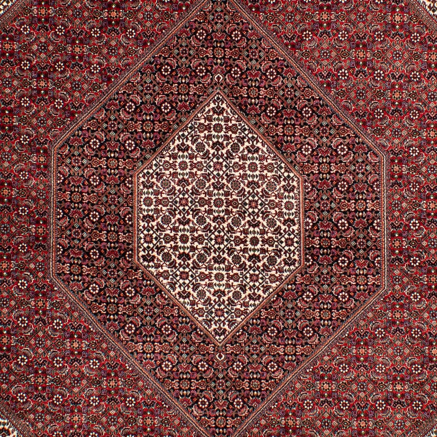 Tappeto Persero - Bidjar - 304 x 204 cm - rosso scuro