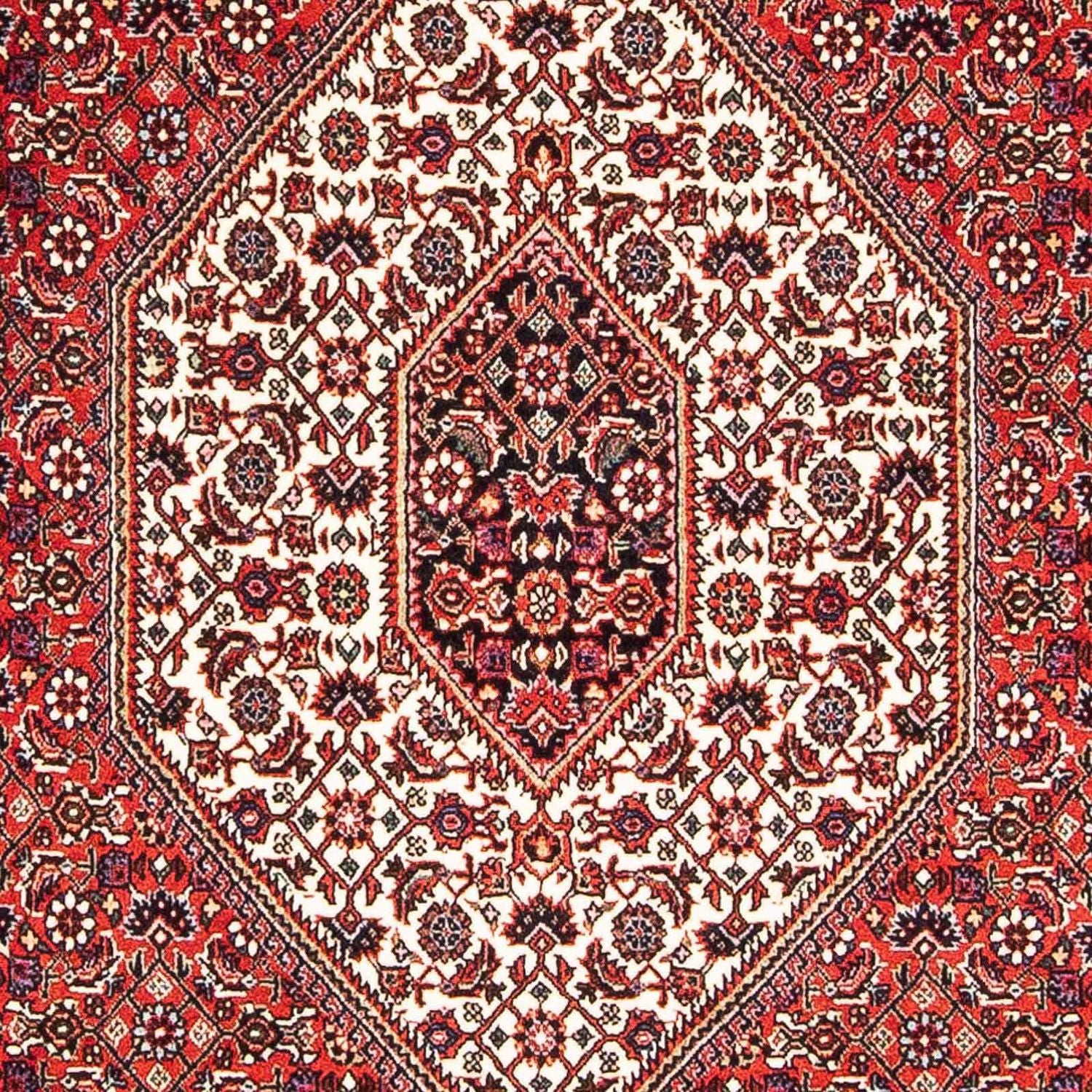 Tappeto Persero - Bidjar - 179 x 112 cm - rosso