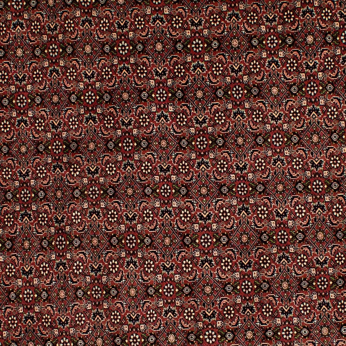 Tappeto Persero - Bidjar - 293 x 198 cm - marrone