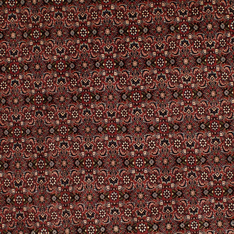 Tappeto Persero - Bidjar - 293 x 198 cm - marrone