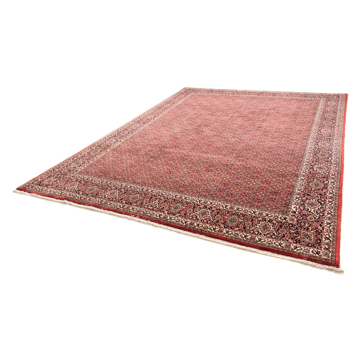 Tappeto Persero - Bidjar - 343 x 251 cm - rosso chiaro