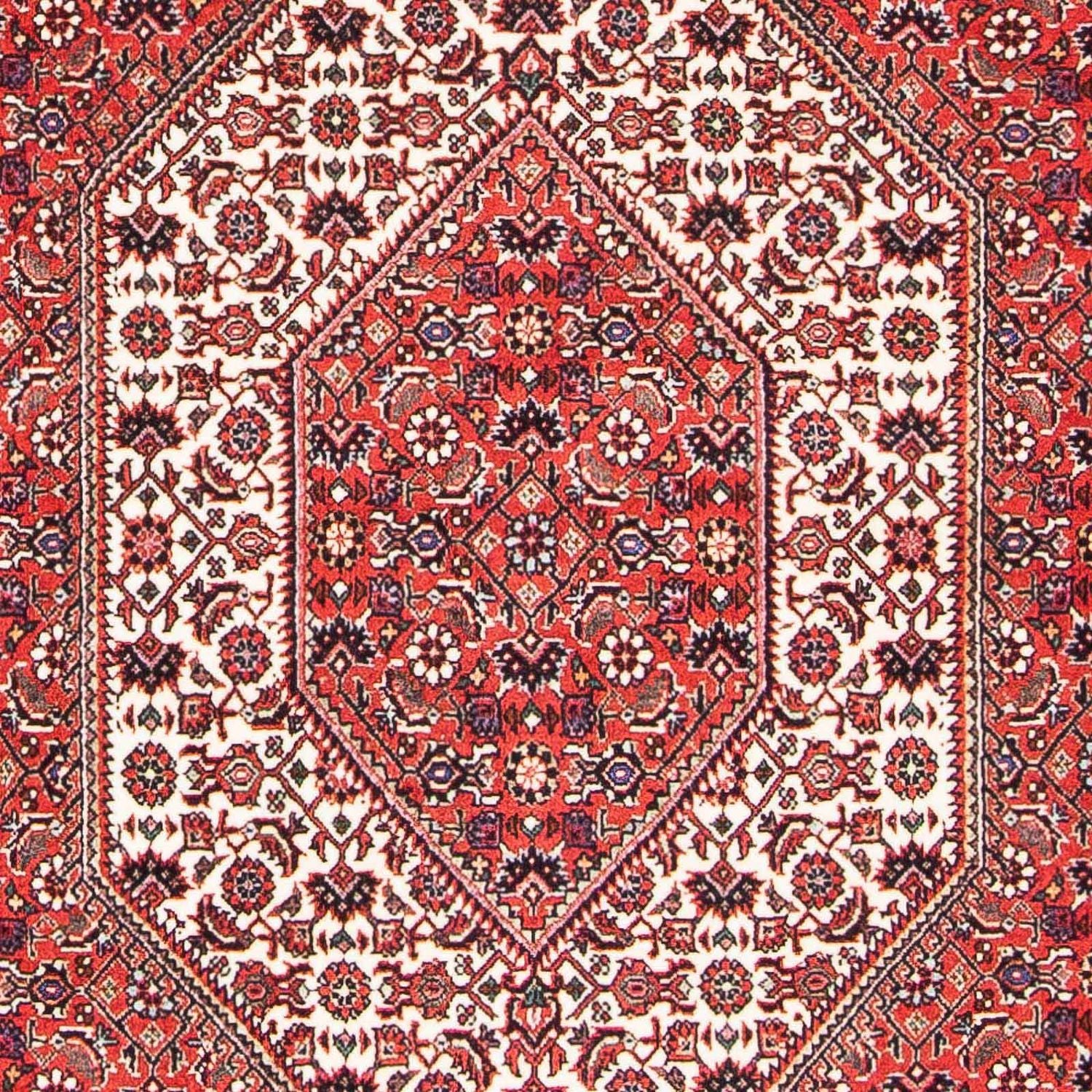 Tappeto Persero - Bidjar - 175 x 108 cm - rosso chiaro