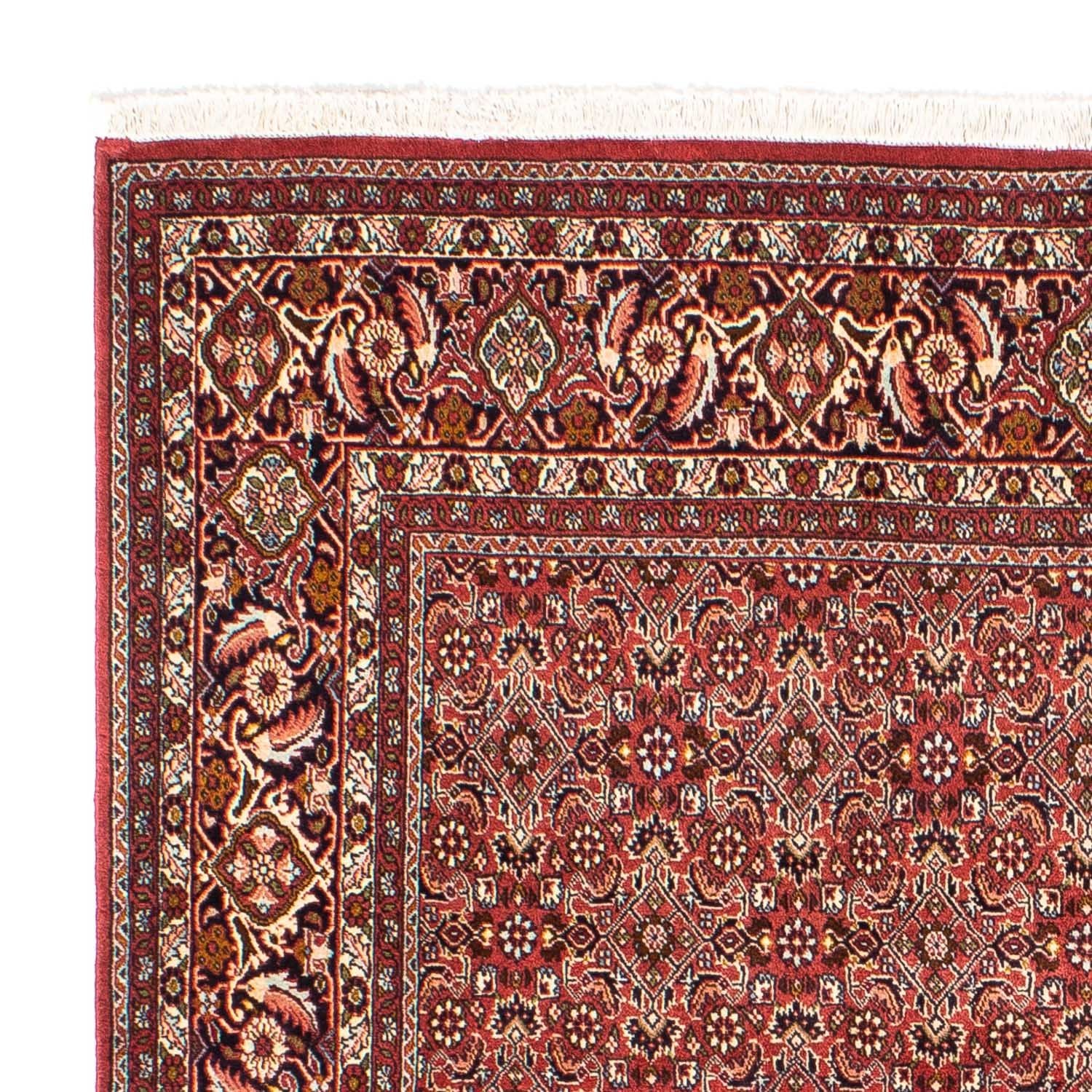 Tappeto Persero - Bidjar quadrato  - 197 x 190 cm - rosso chiaro