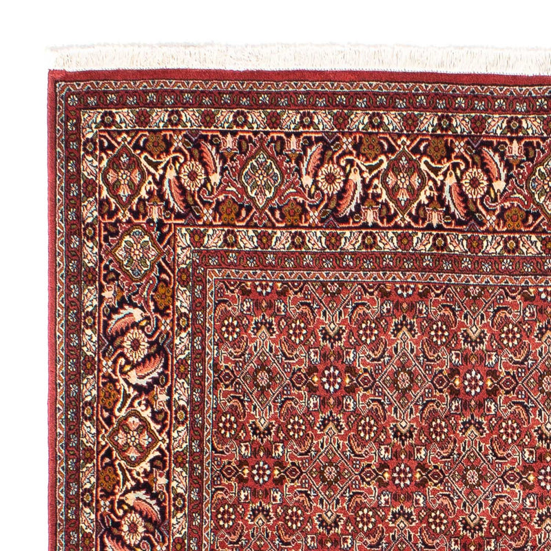Tappeto Persero - Bidjar quadrato  - 197 x 190 cm - rosso chiaro