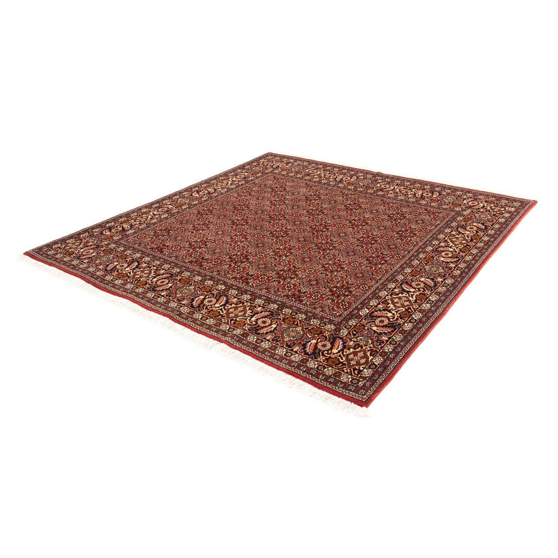 Tappeto Persero - Bidjar quadrato  - 197 x 190 cm - rosso chiaro
