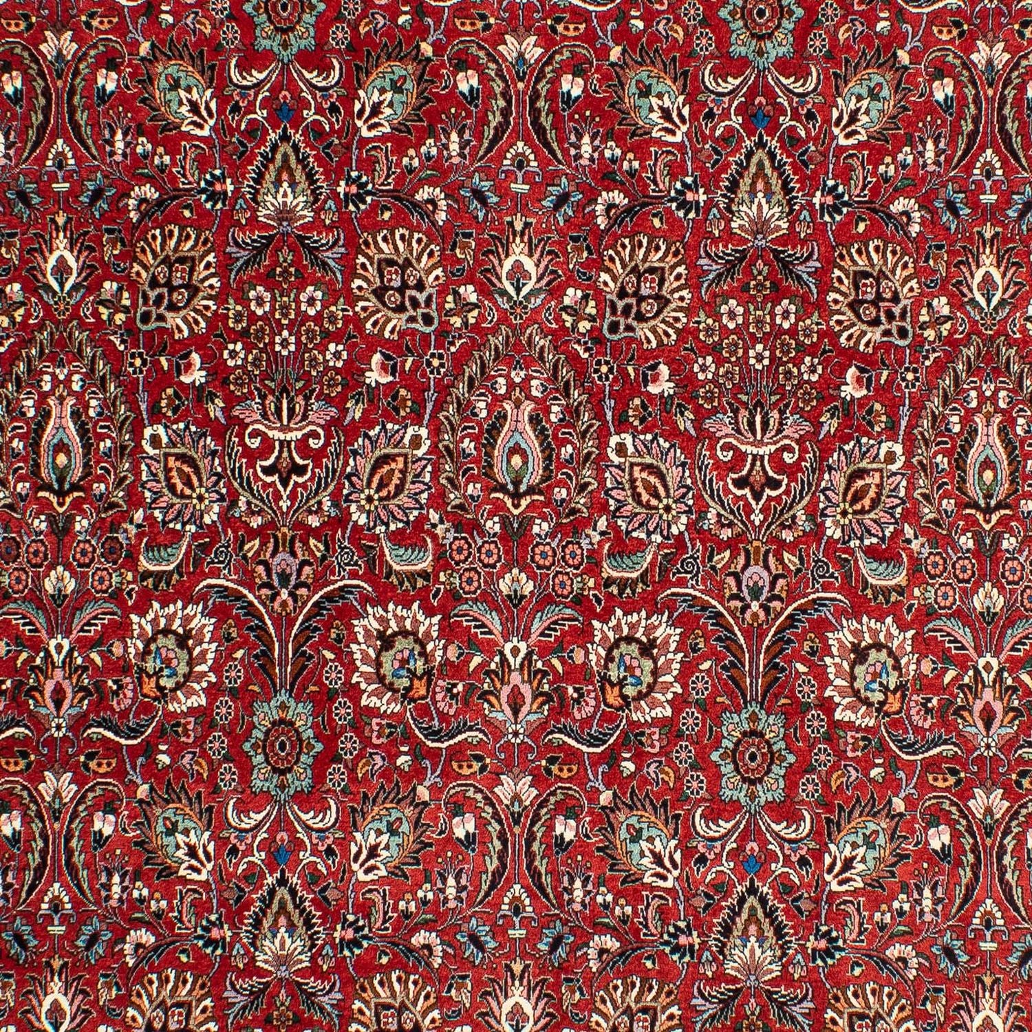 Tappeto Persero - Bidjar - 286 x 202 cm - rosso scuro