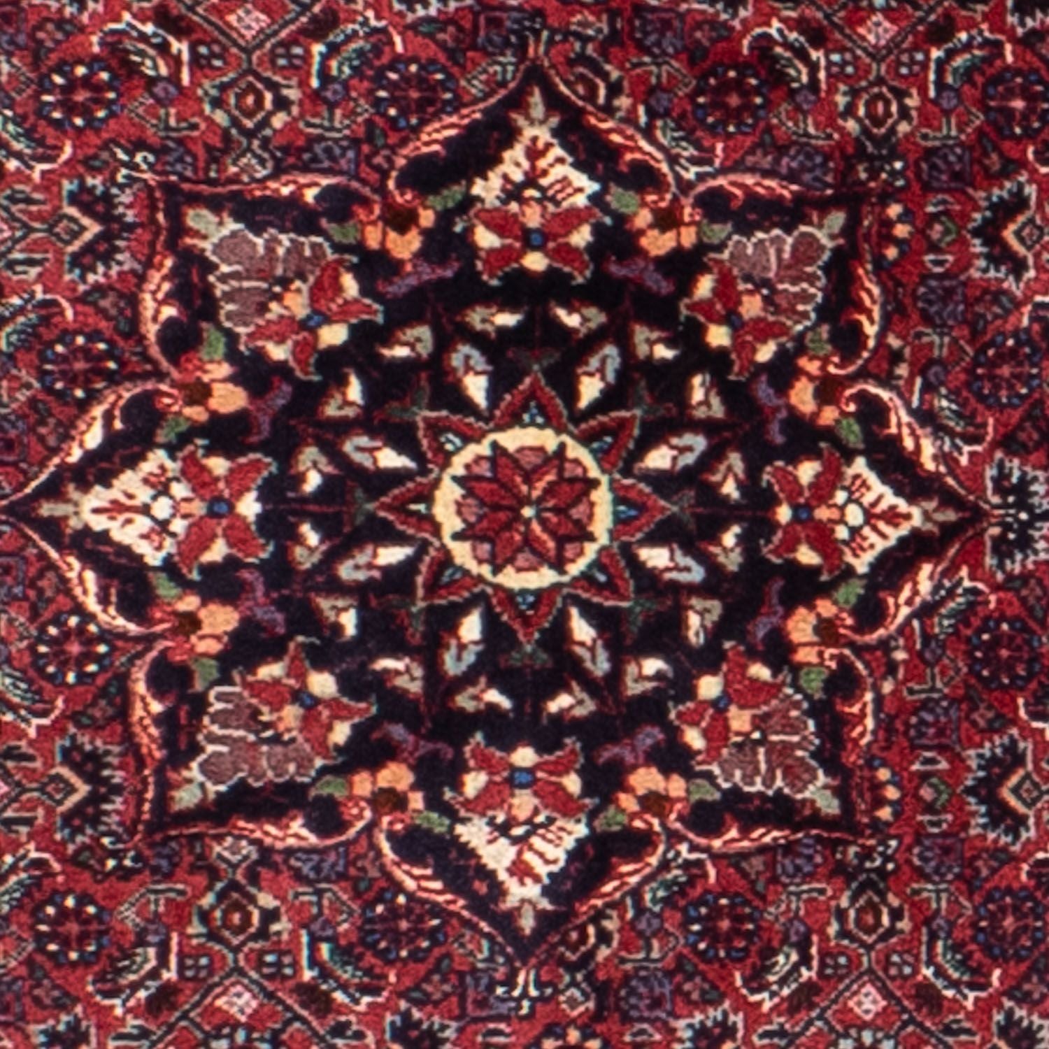 Tappeto Persero - Bidjar rotondo  - 150 x 150 cm - rosso scuro