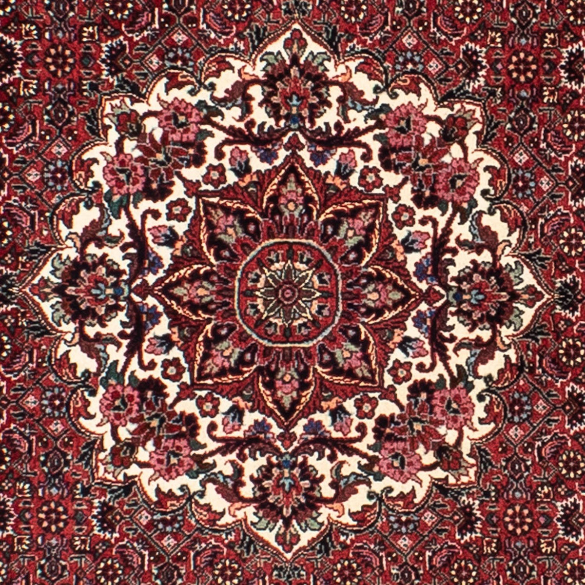 Tappeto Persero - Bidjar rotondo  - 150 x 150 cm - rosso scuro