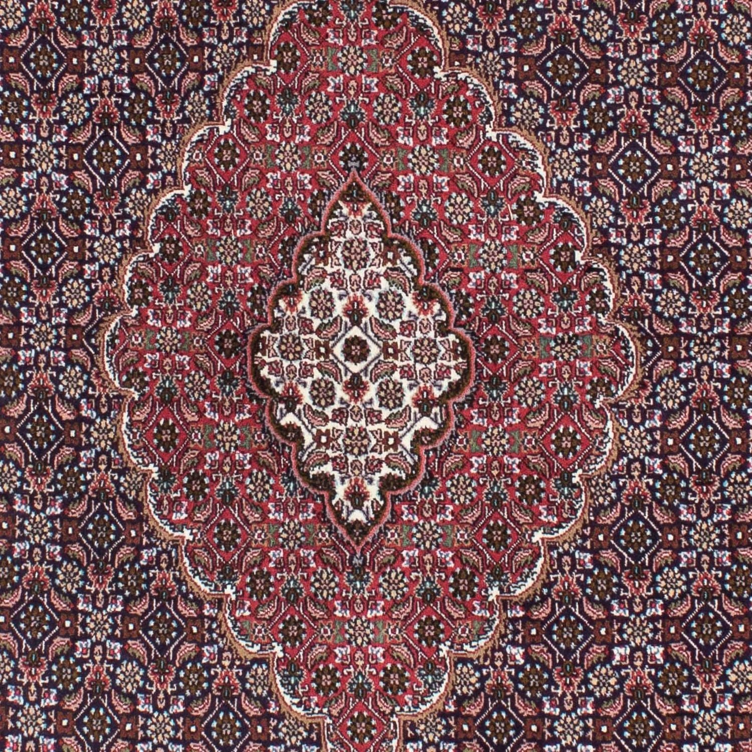 Tappeto Persero - Tabriz - 208 x 146 cm - blu scuro