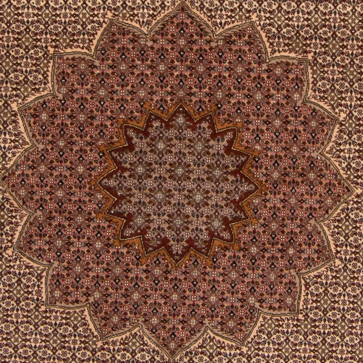 Tappeto Persero - Tabriz - Reale - 260 x 248 cm - marrone