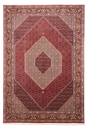 Tappeto Persero - Bidjar - 358 x 253 cm - rosso scuro
