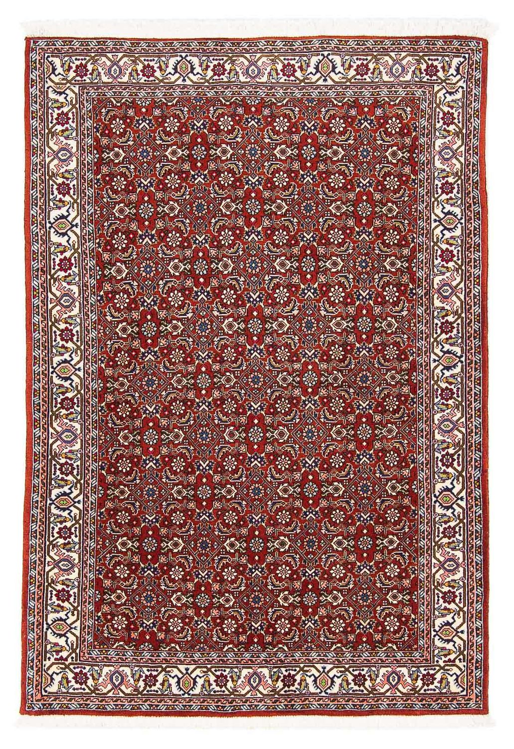 Tappeto Persero - Bidjar - 160 x 108 cm - rosso scuro