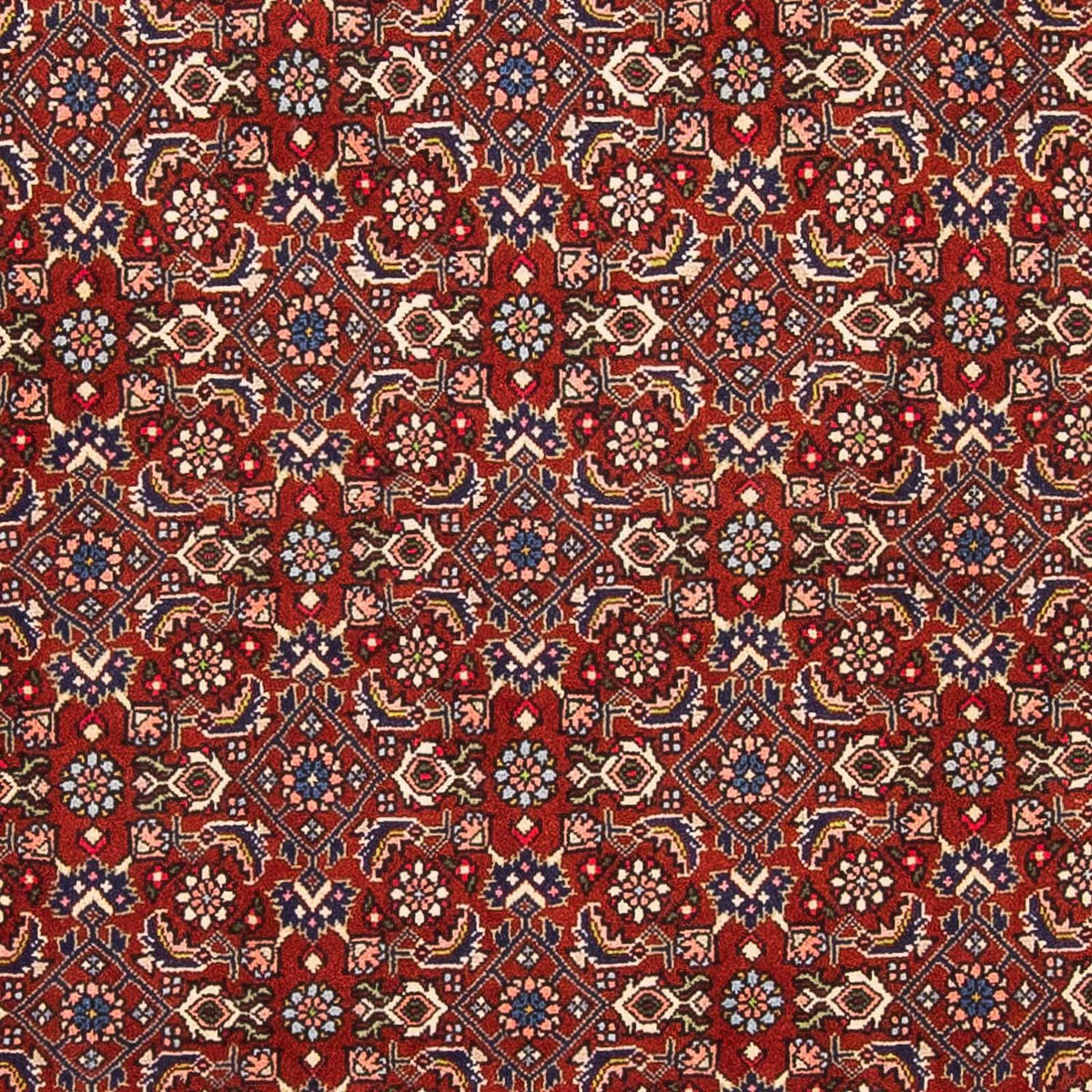 Tappeto Persero - Bidjar - 160 x 108 cm - rosso scuro