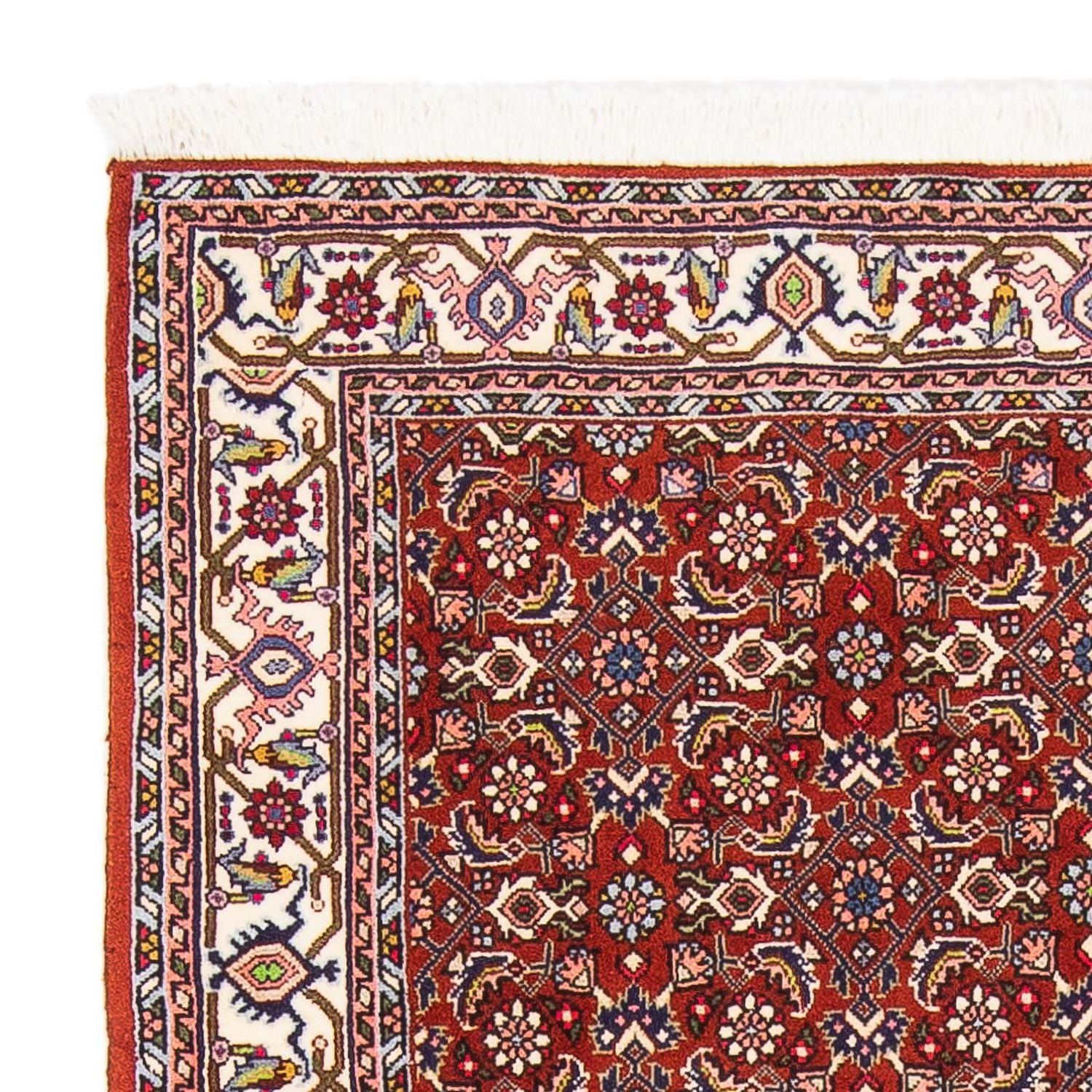 Tappeto Persero - Bidjar - 160 x 108 cm - rosso scuro