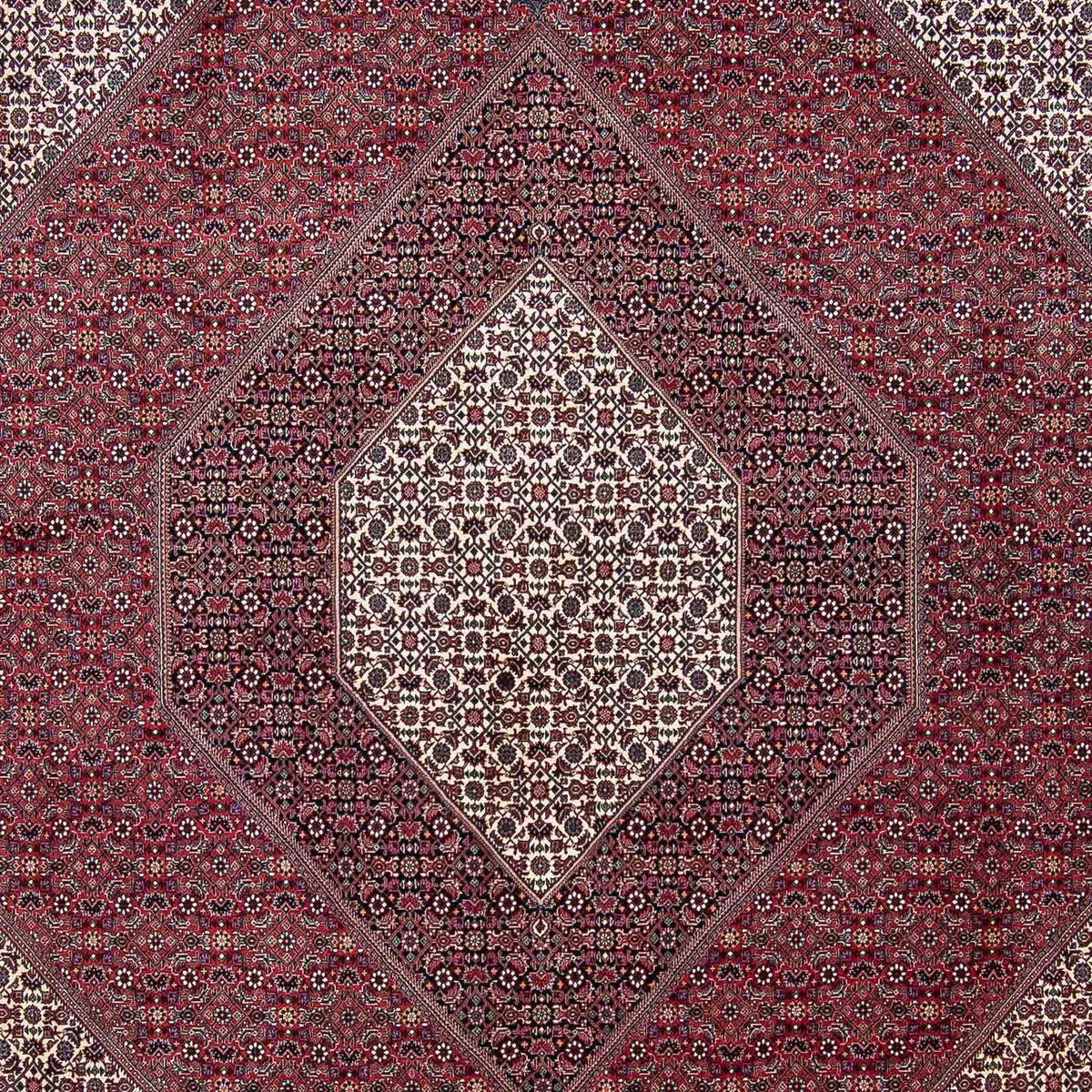 Tappeto Persero - Bidjar - 340 x 300 cm - rosso scuro