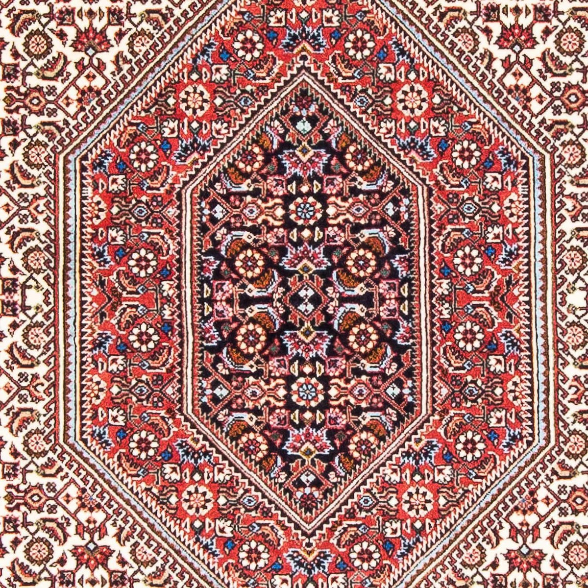 Tappeto Persero - Bidjar - 177 x 108 cm - rosso