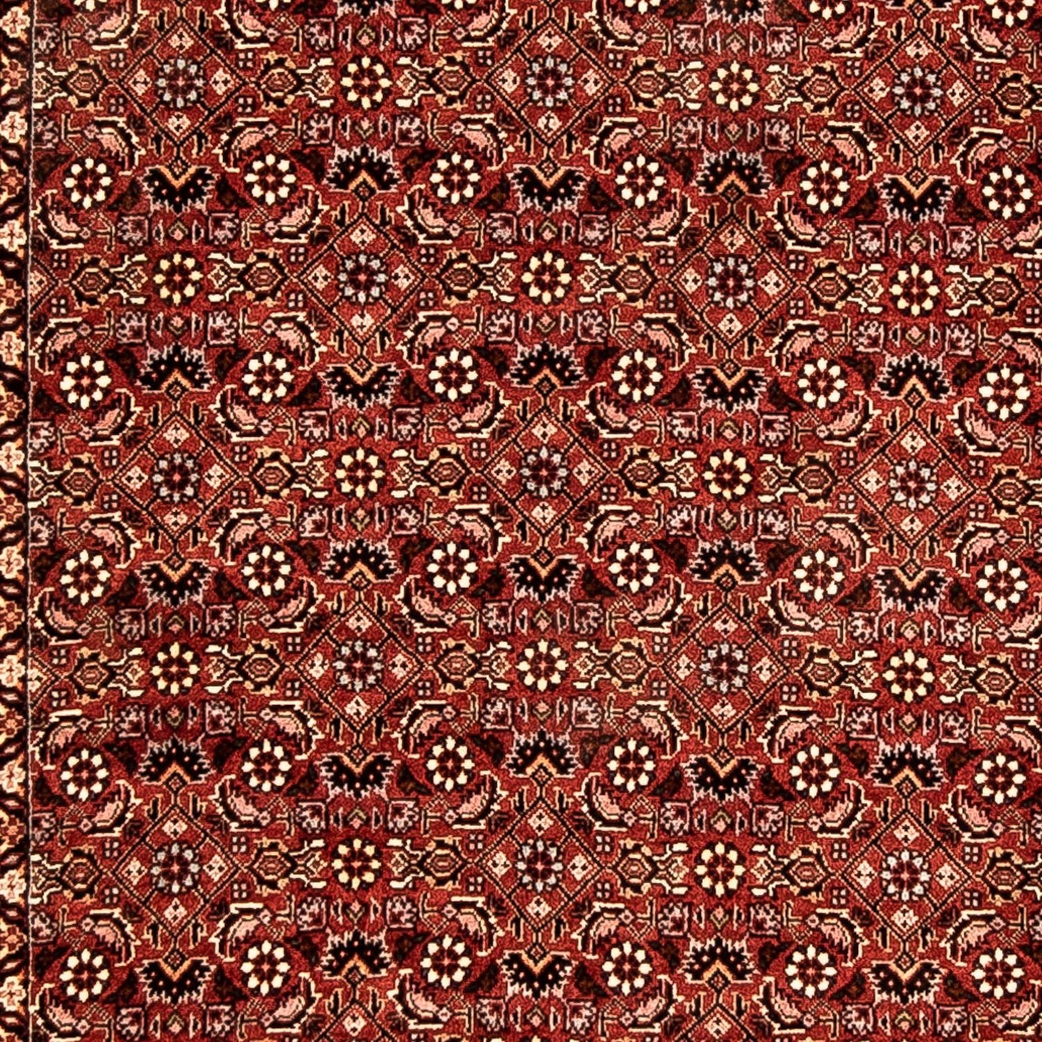 Tappeto corsia Tappeto Persero - Bidjar - 298 x 82 cm - multicolore