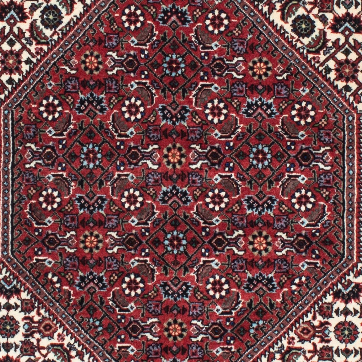 Tappeto corsia Tappeto Persero - Bidjar - 218 x 76 cm - beige