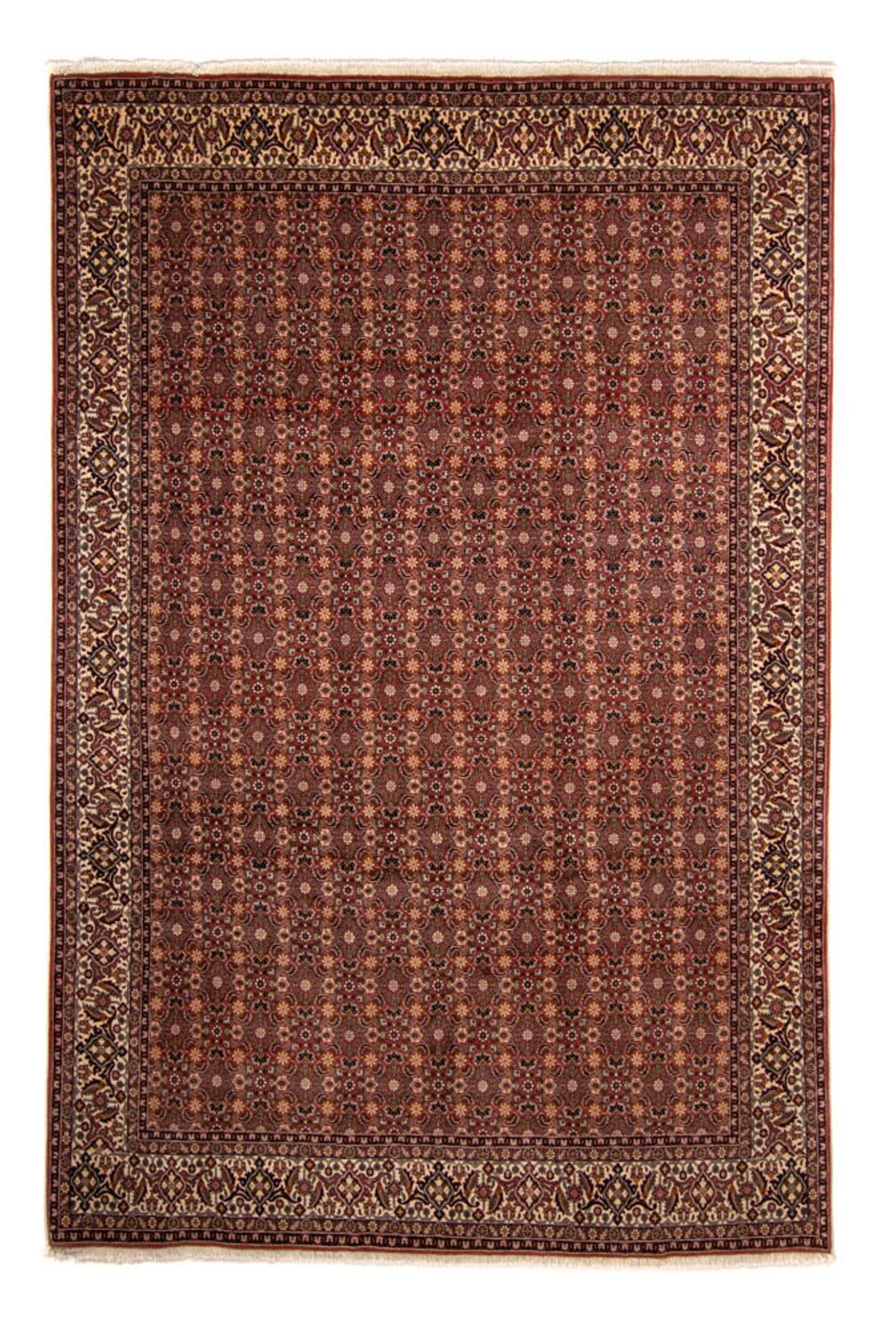 Tappeto Persero - Bidjar - 352 x 252 cm - marrone