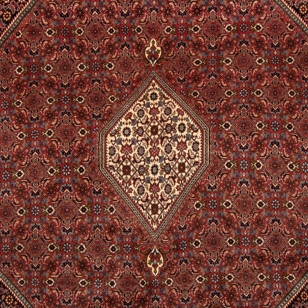 Tappeto Persero - Bidjar - 329 x 255 cm - marrone