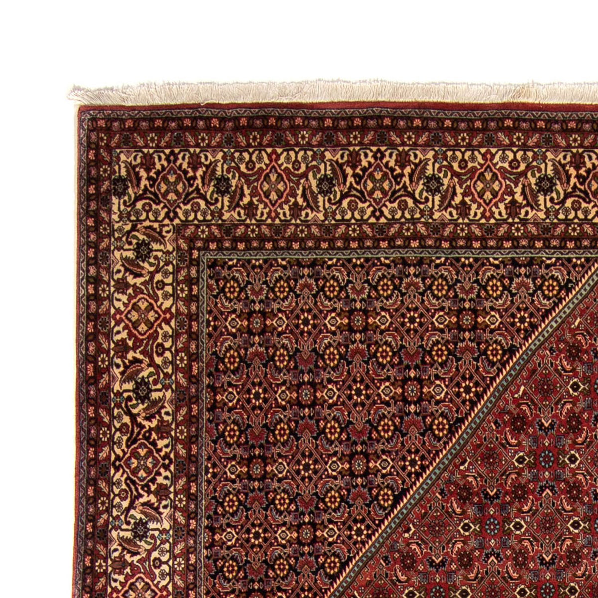 Bidjar Tappeto 255x329cm - Tappeto persiano