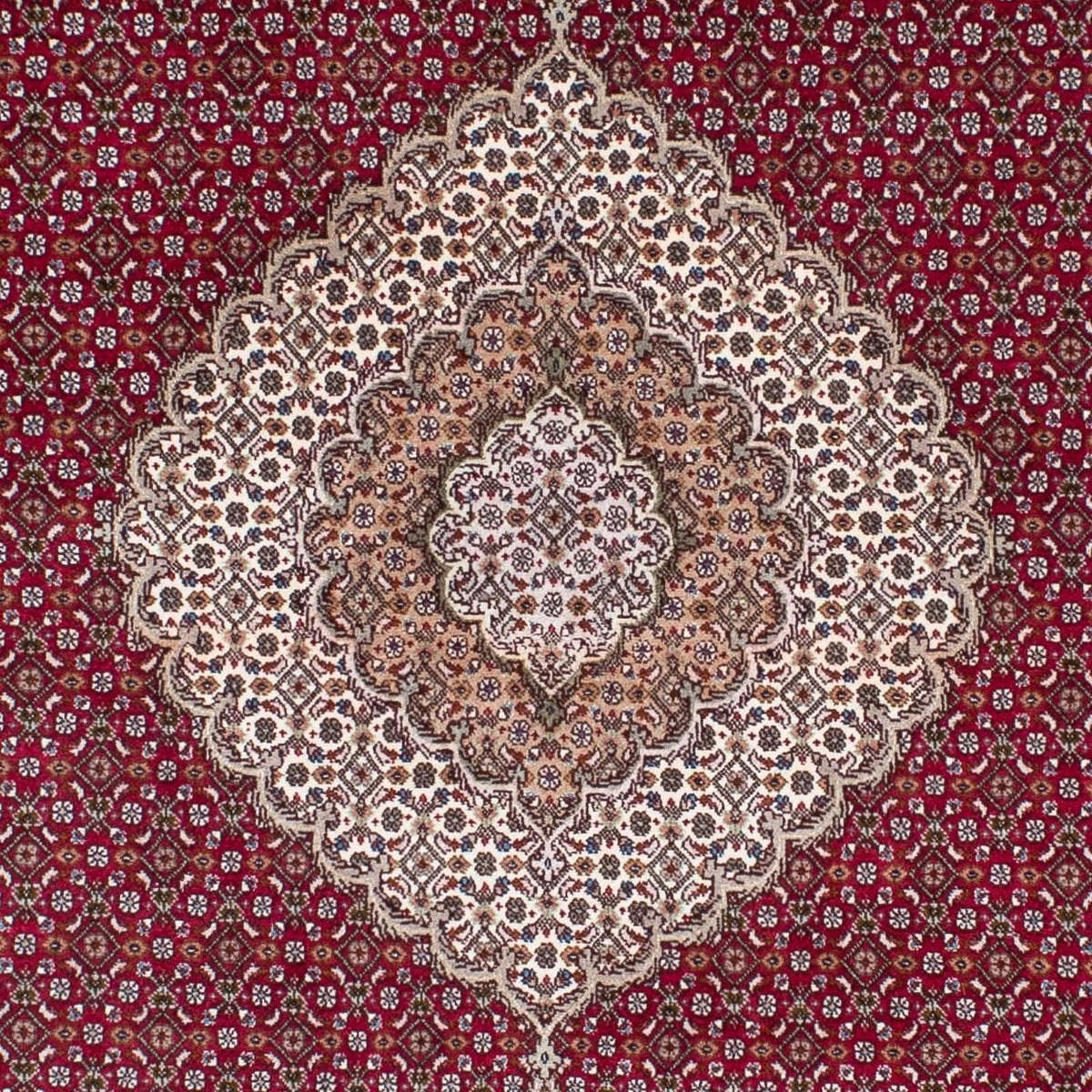 Tappeto Persero - Tabriz - 208 x 152 cm - rosso scuro