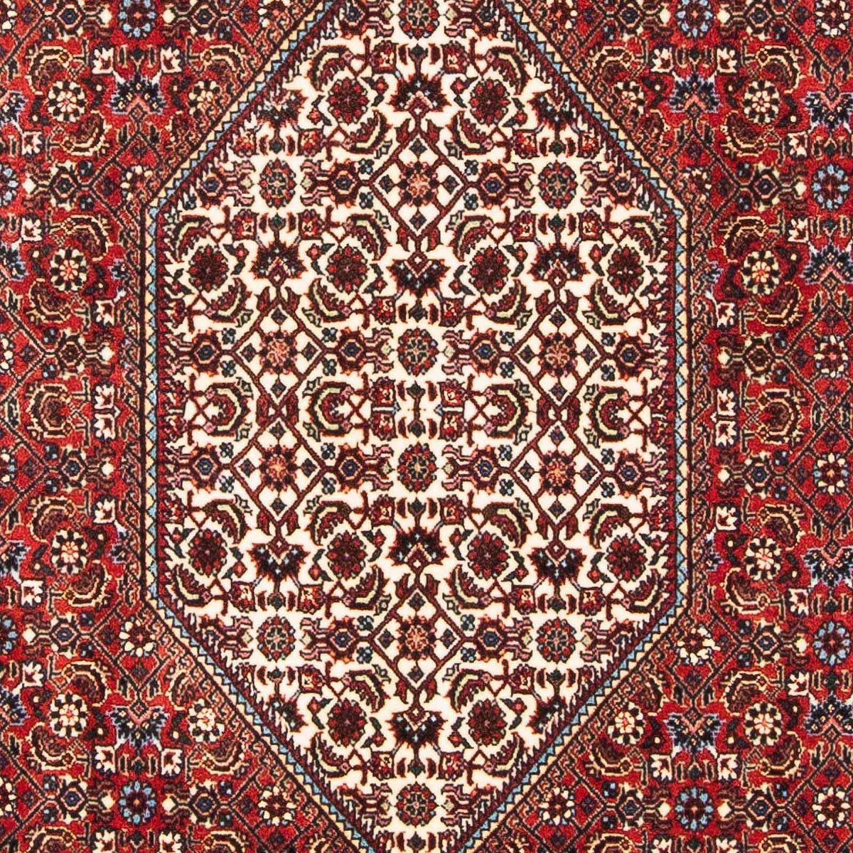 Tappeto Persero - Bidjar - 183 x 111 cm - rosso