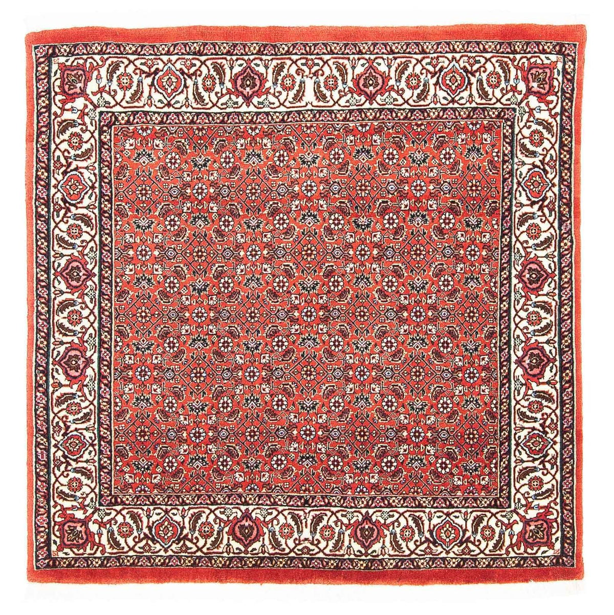 Tappeto Persero - Bidjar quadrato  - 97 x 95 cm - rosso