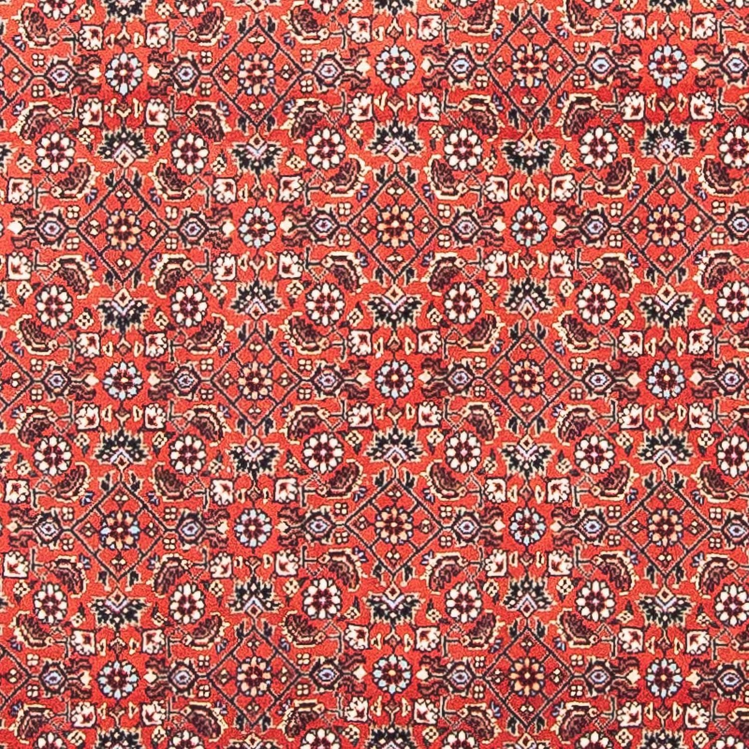 Tappeto Persero - Bidjar quadrato  - 97 x 95 cm - rosso