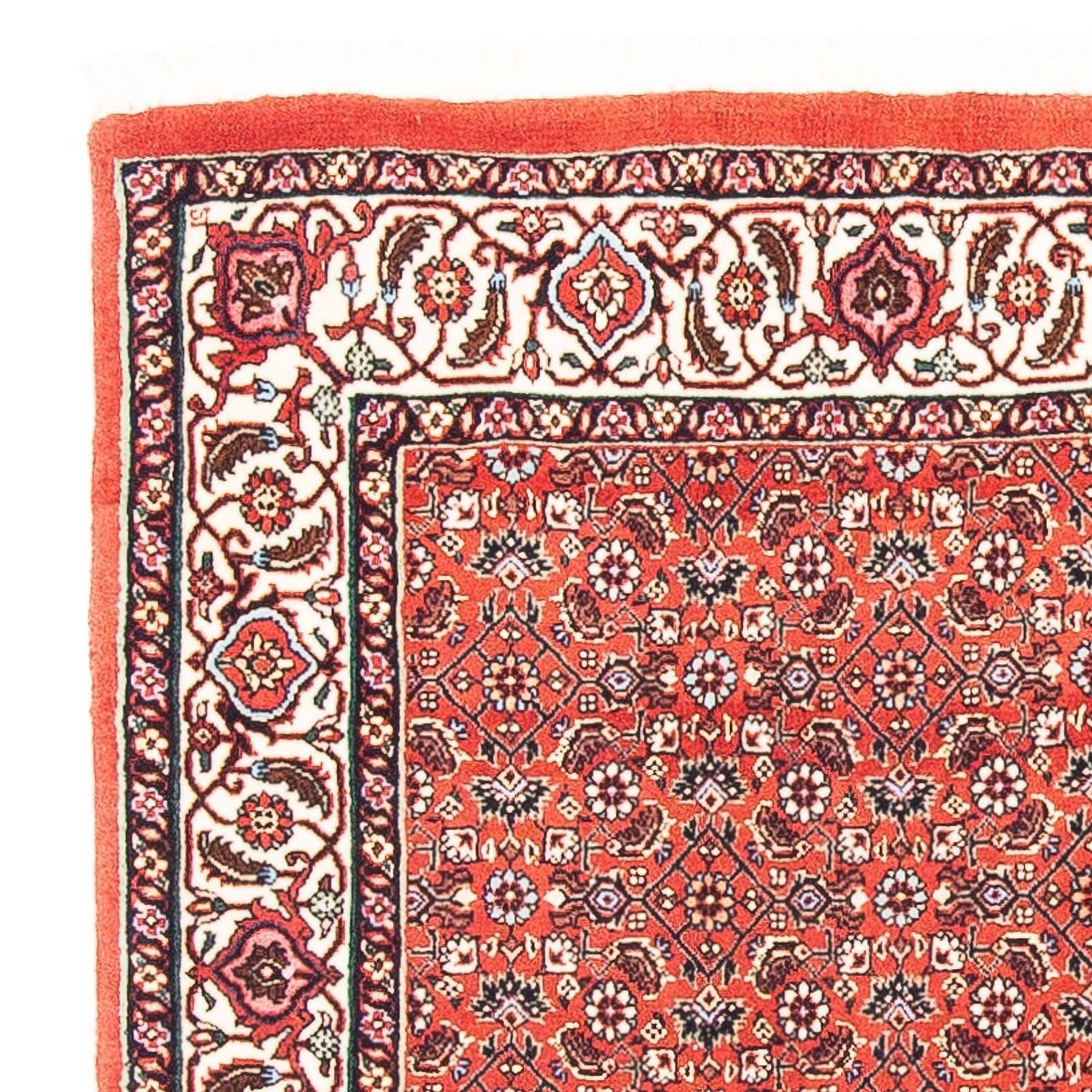 Tappeto Persero - Bidjar quadrato  - 97 x 95 cm - rosso