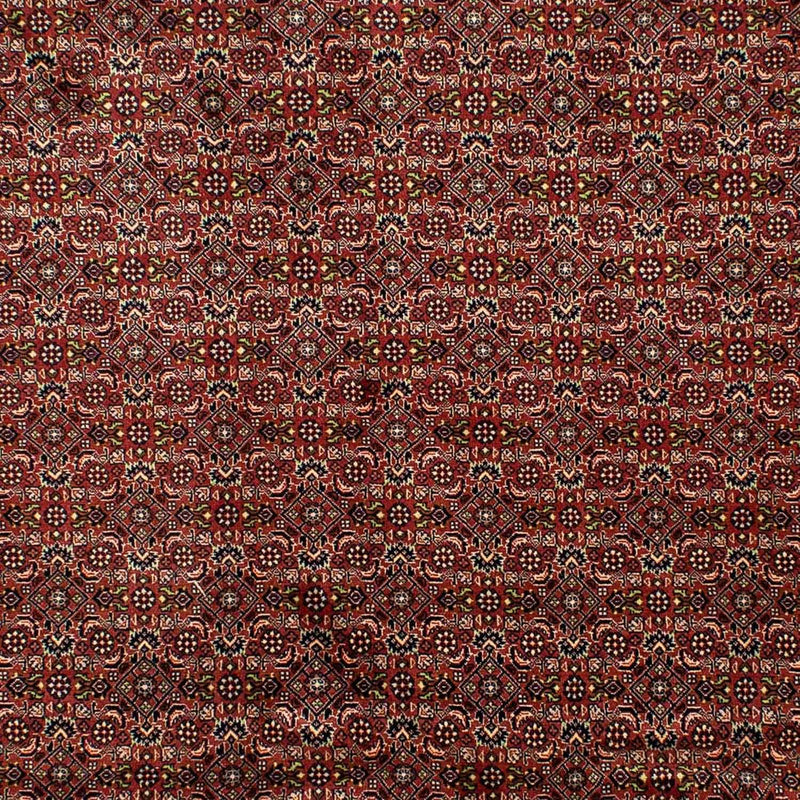 Tappeto Persero - Bidjar - 298 x 202 cm - marrone