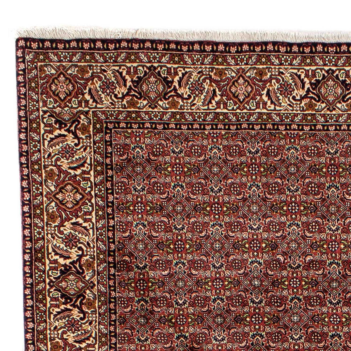 Bidjar Tappeto 202x298cm - Tappeto persiano