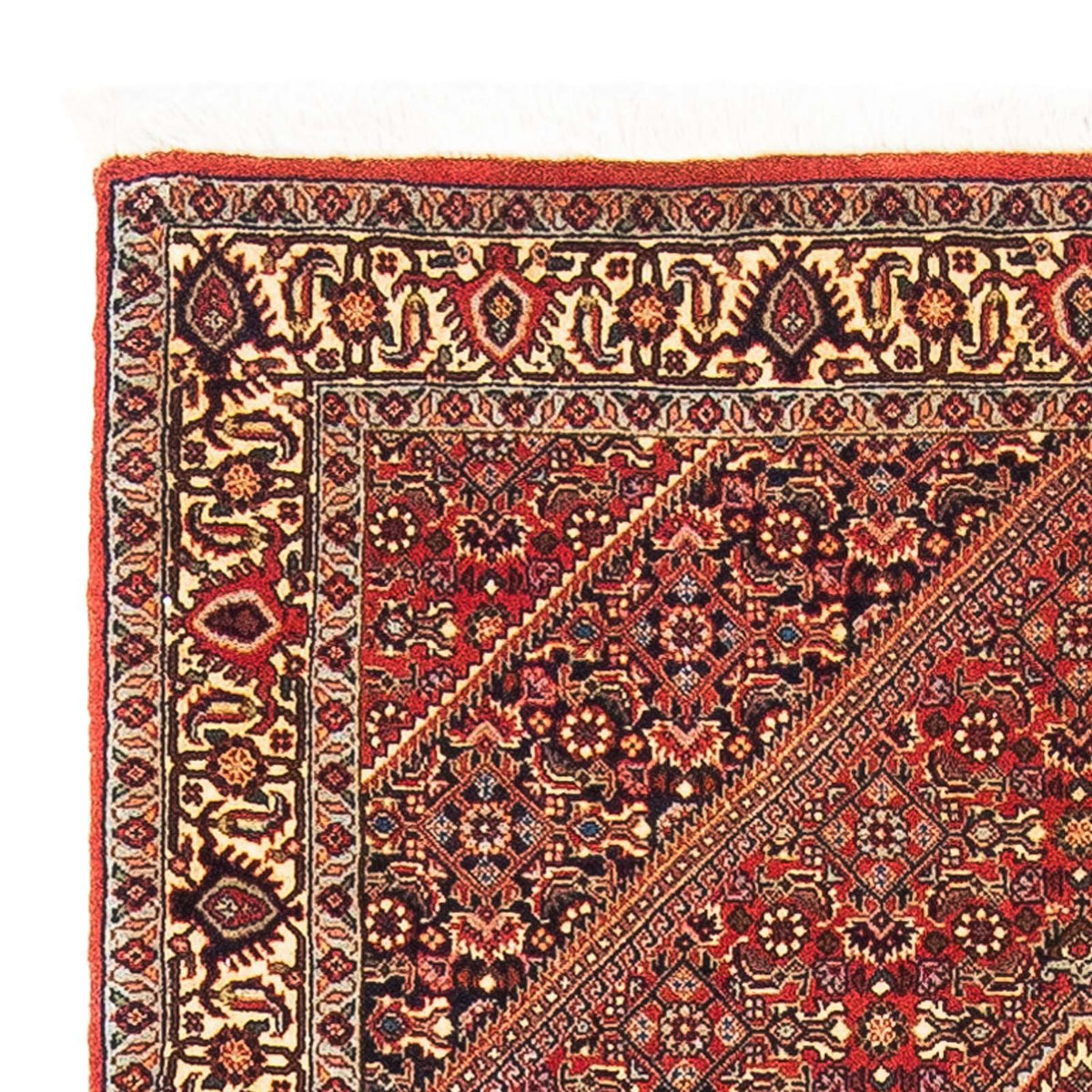 Tappeto Persero - Bidjar - 153 x 89 cm - rosso