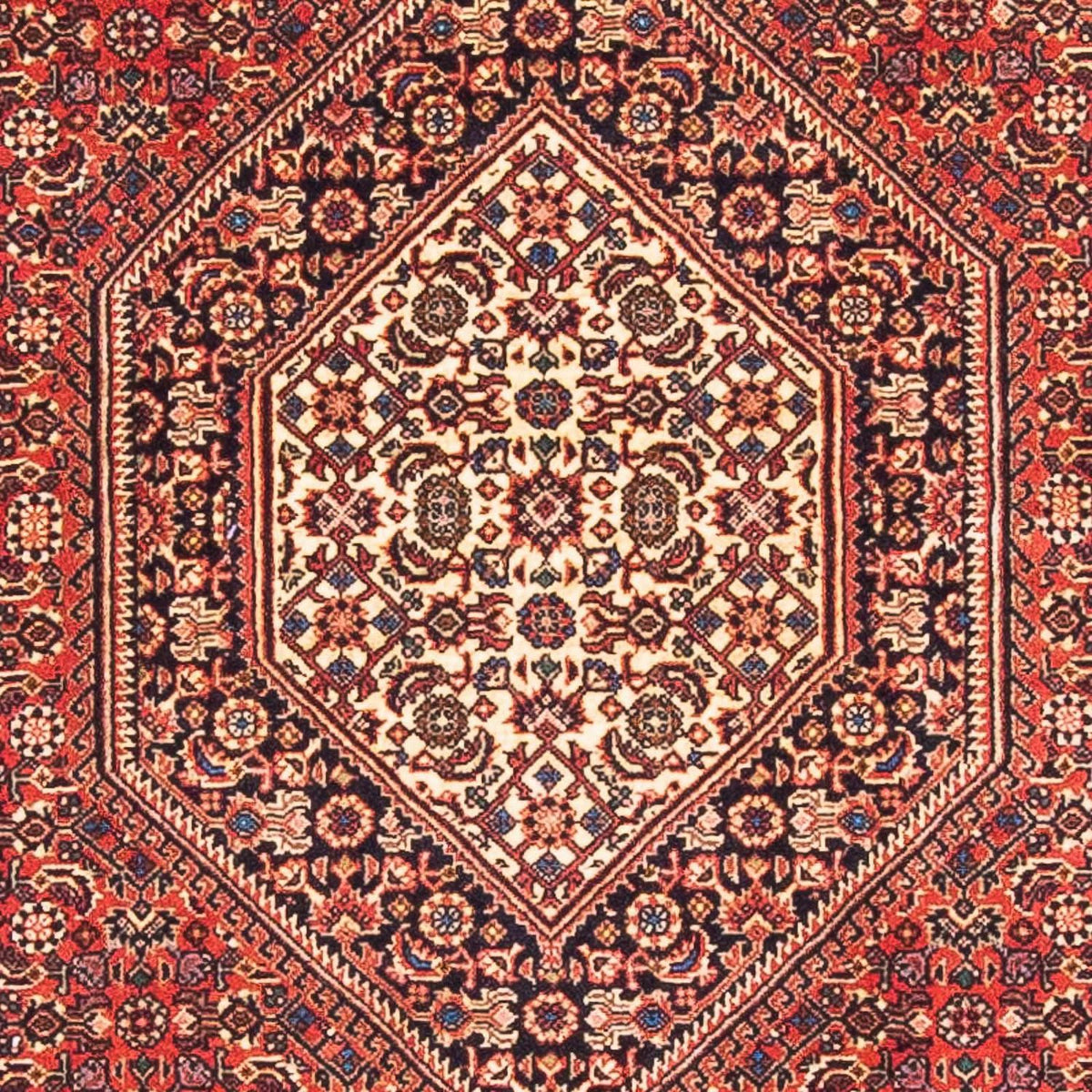 Tappeto Persero - Bidjar - 153 x 92 cm - rosso