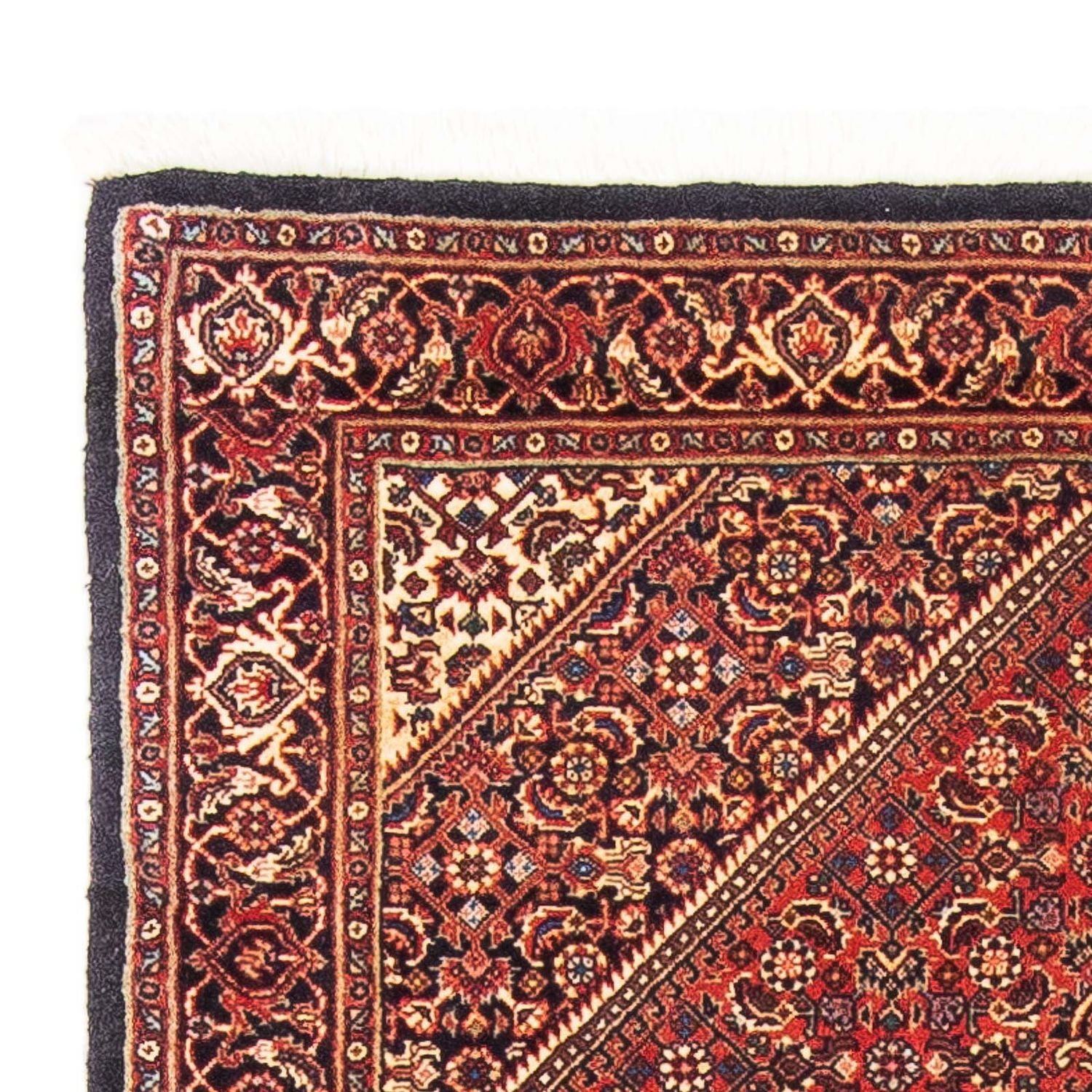 Tappeto Persero - Bidjar - 153 x 92 cm - rosso
