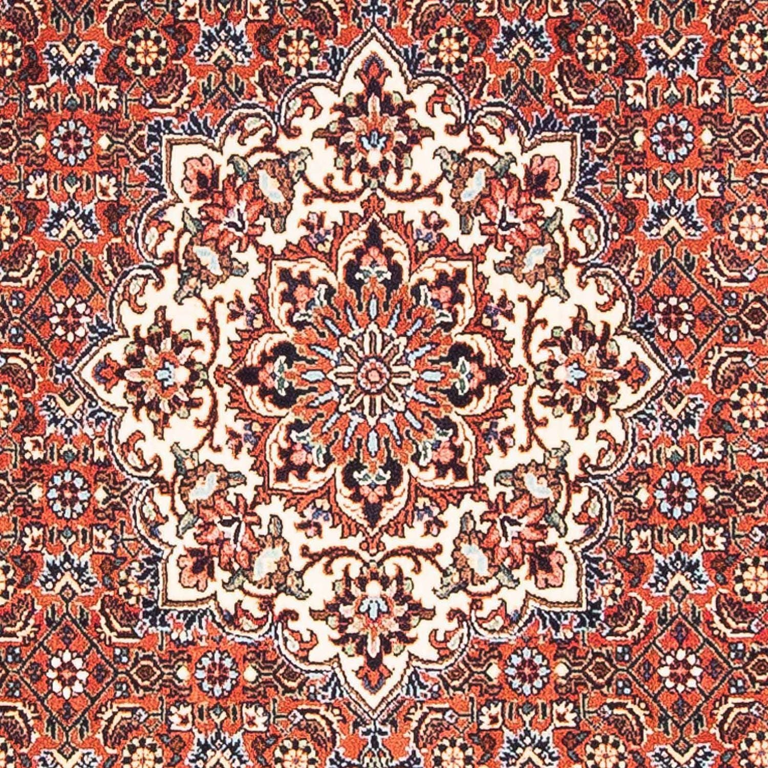 Tappeto Persero - Bidjar - 148 x 88 cm - rosso