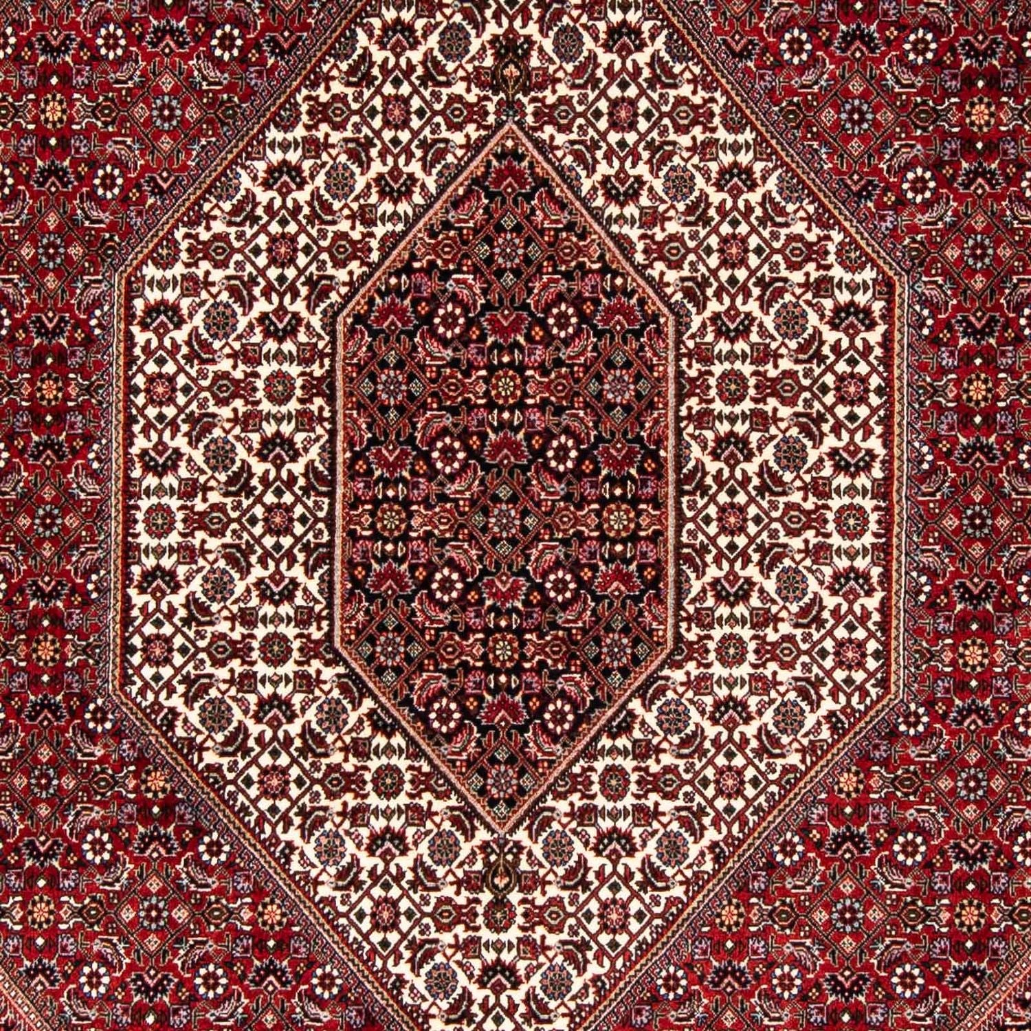 Tappeto Persero - Bidjar - 243 x 167 cm - rosso