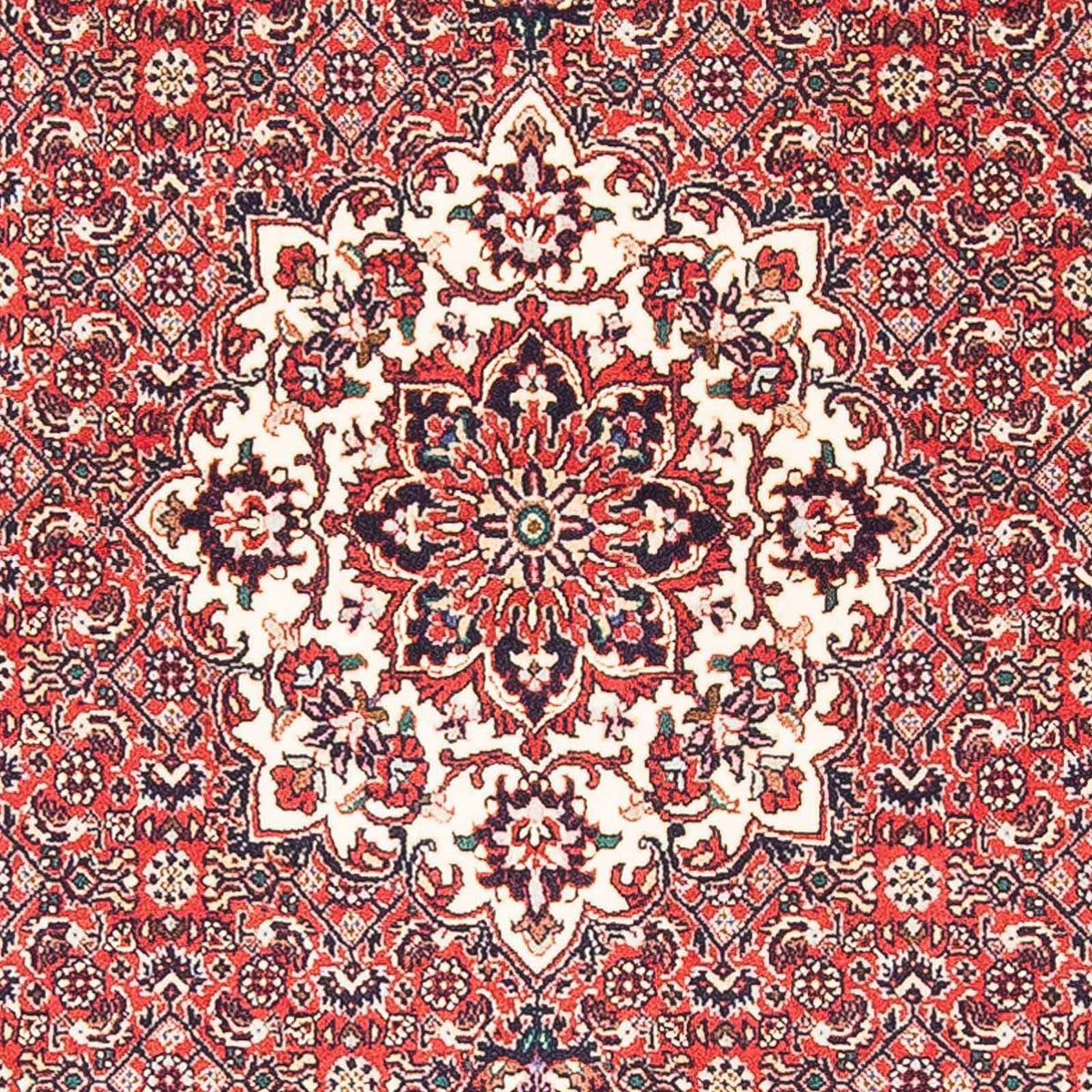 Tappeto Persero - Bidjar - 148 x 91 cm - rosso