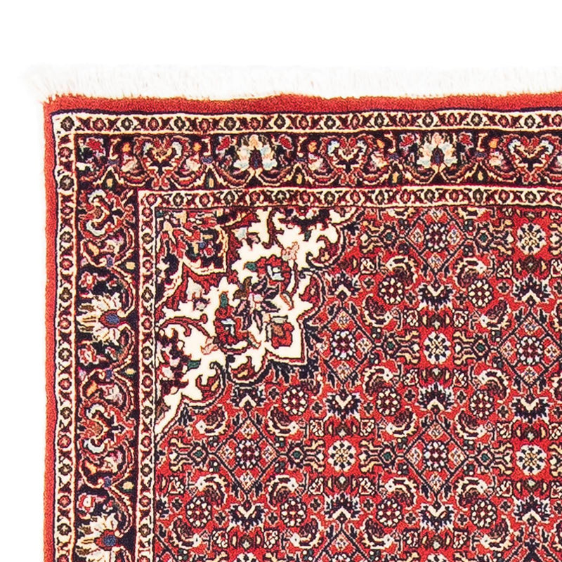 Tappeto Persero - Bidjar - 148 x 91 cm - rosso