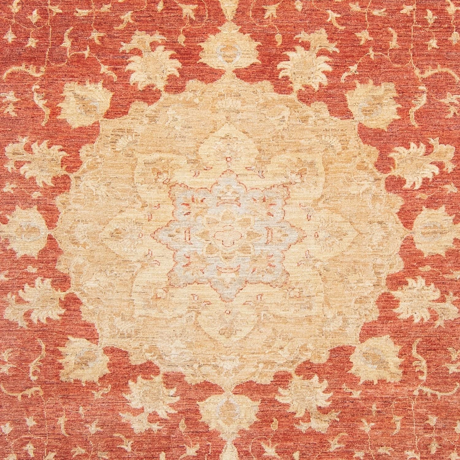 Tappeto Ziegler - 355 x 271 cm - rosso chiaro