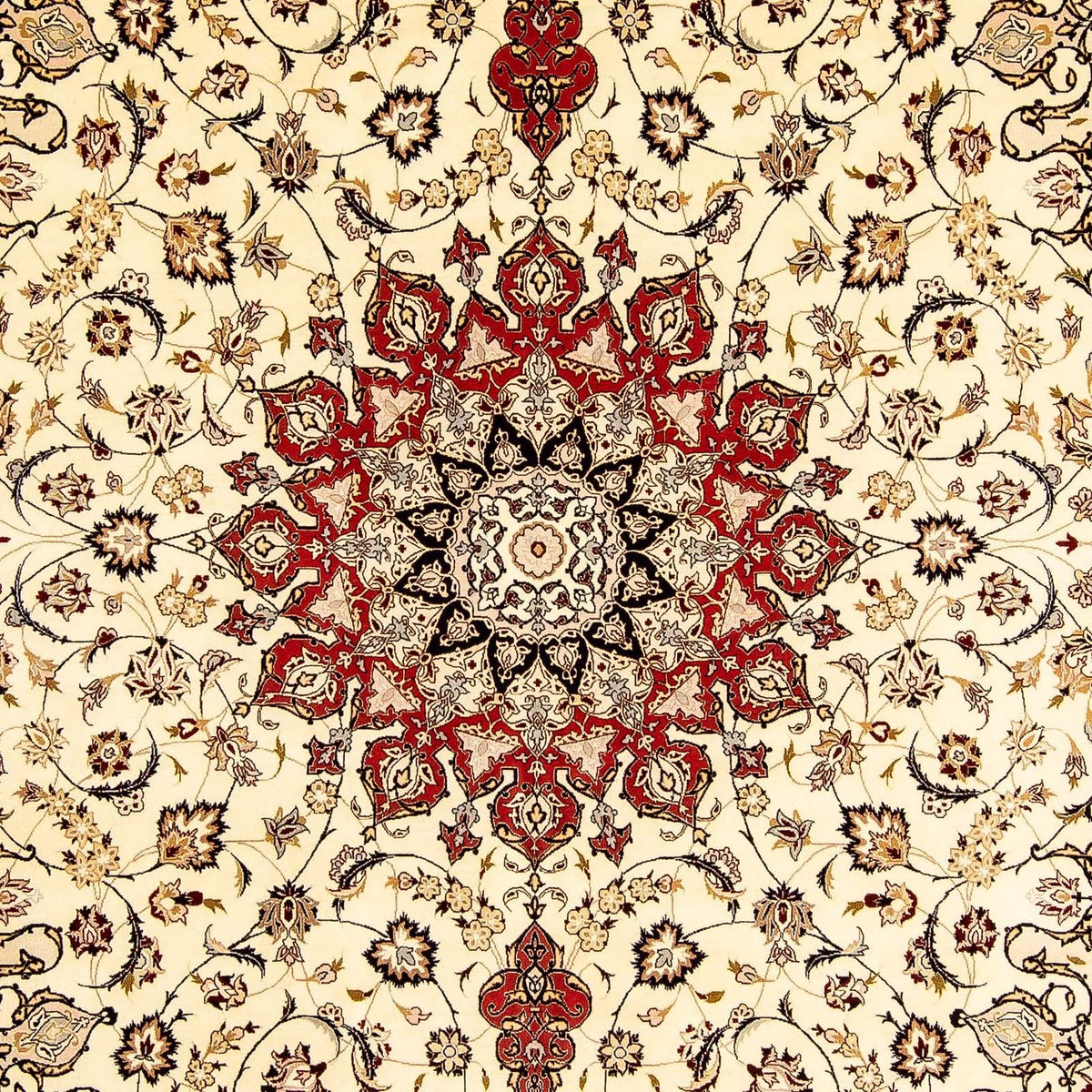 Tappeto Persero - Tabriz - Reale - 348 x 254 cm - beige