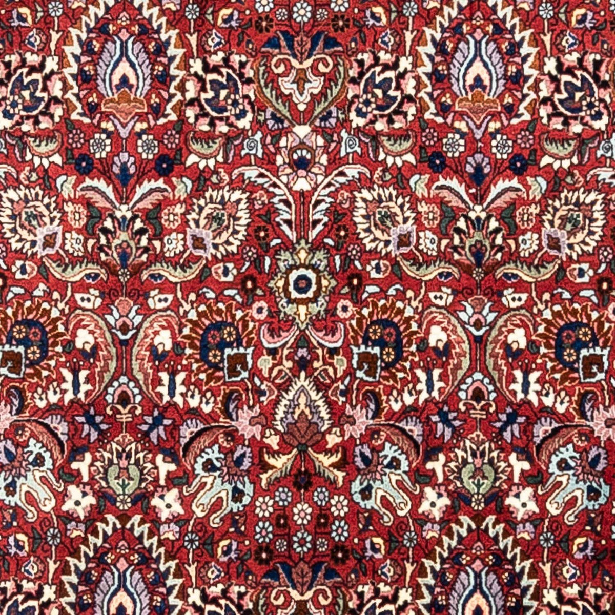 Tappeto Persero - Bidjar - 343 x 255 cm - rosso