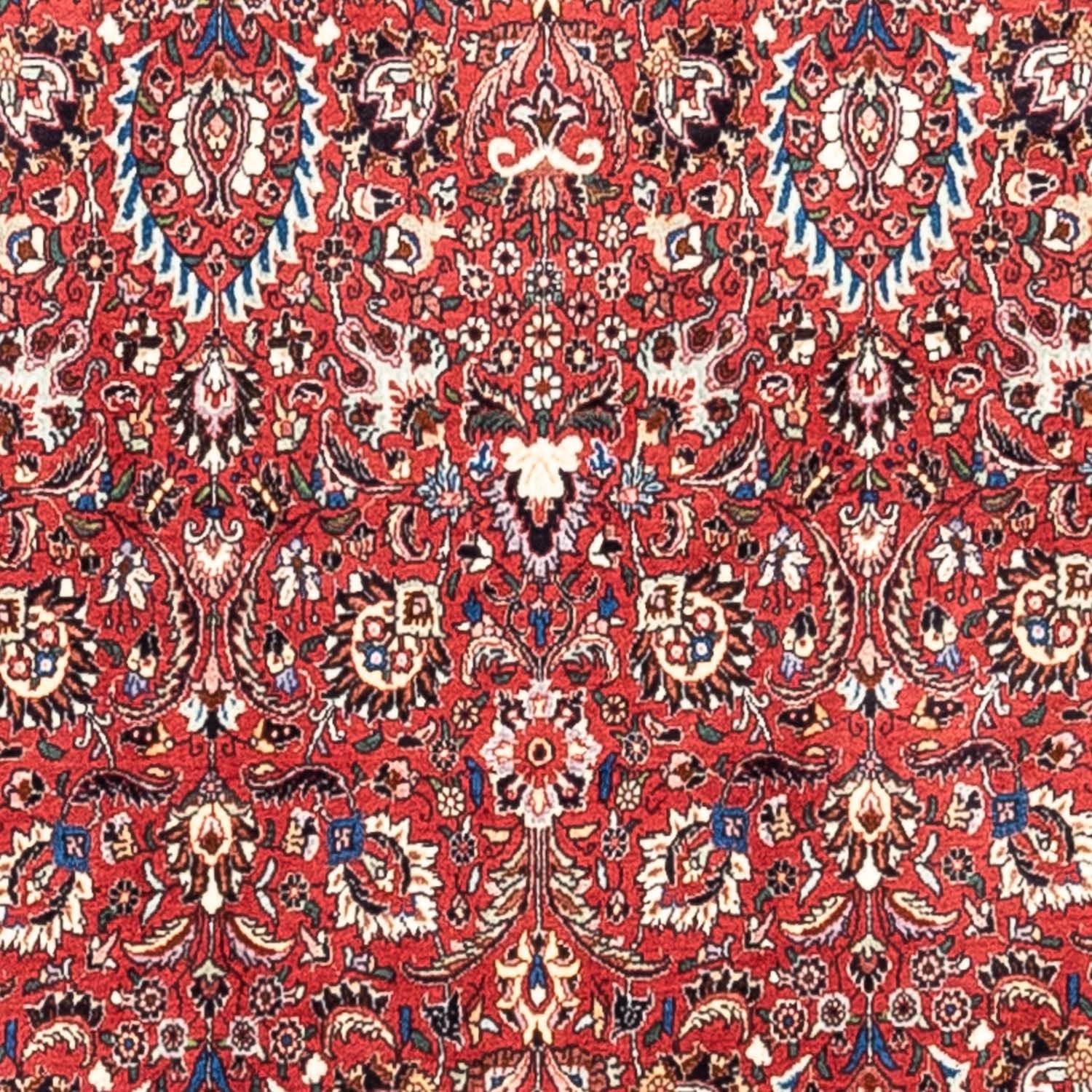 Tappeto Persero - Bidjar - 346 x 250 cm - rosso