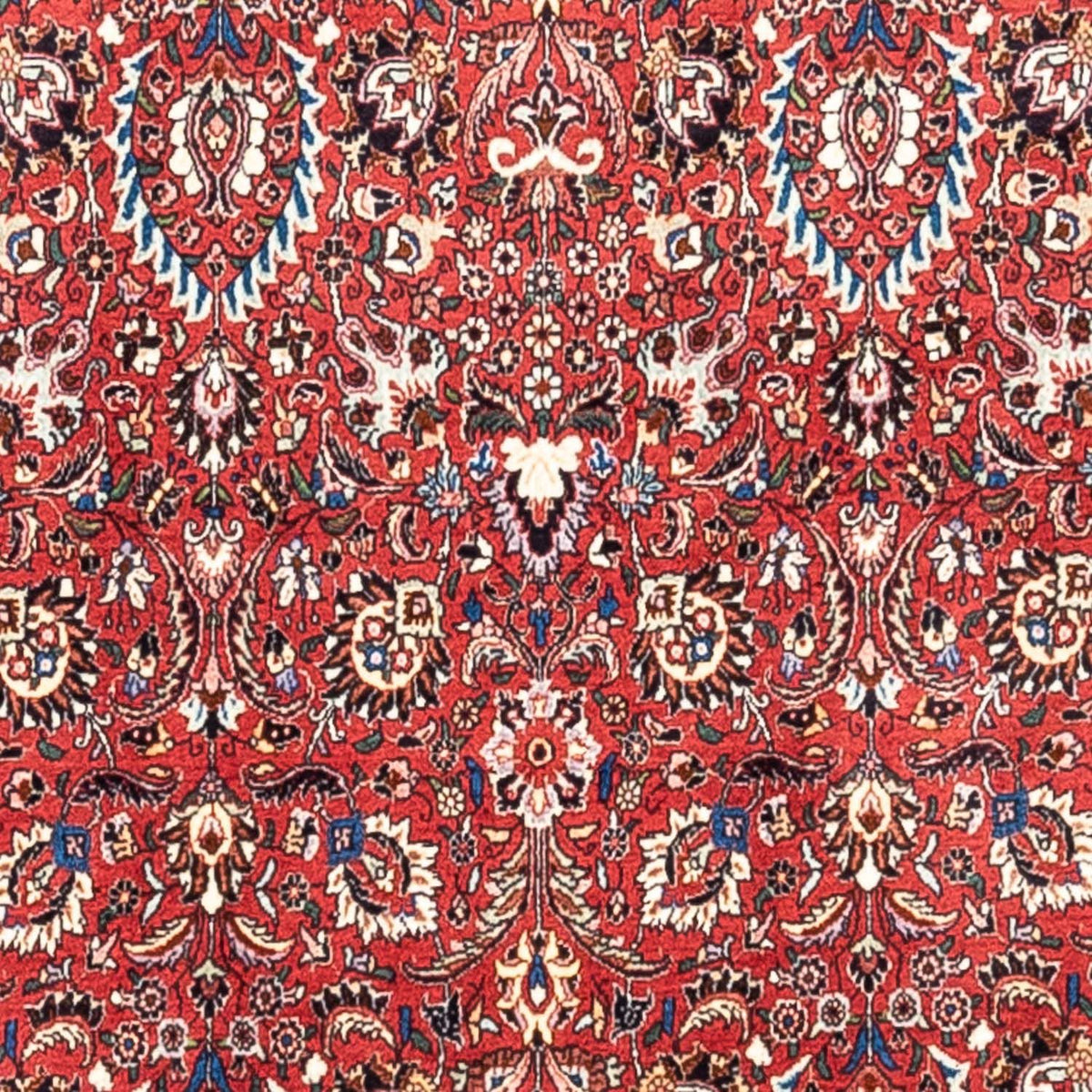 Tappeto Persero - Bidjar - 346 x 250 cm - rosso