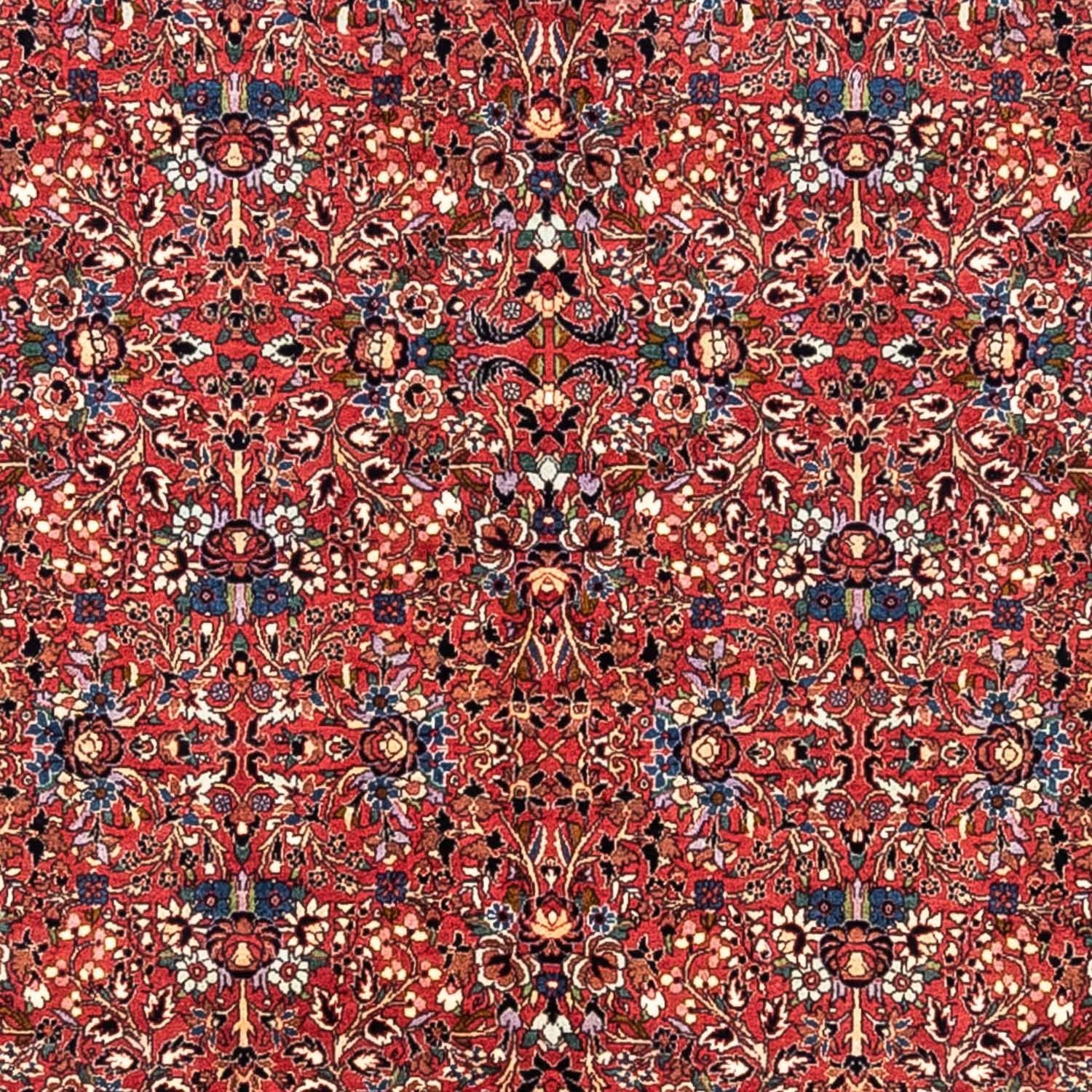 Tappeto Persero - Tabriz - Reale - 346 x 250 cm - rosso
